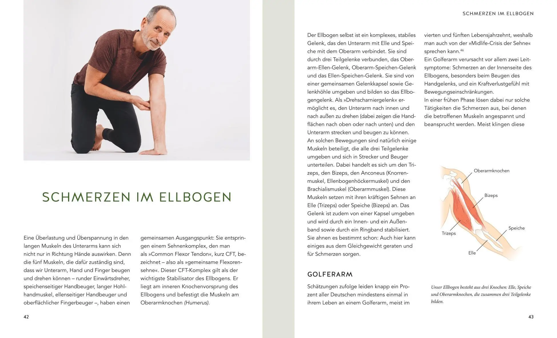 Bild: 9783833897535 | Hand &amp; Ellenbogen Schmerzen selbst behandeln | Petra Bracht (u. a.)
