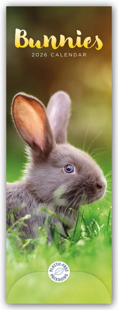 Cover: 9781529847635 | Bunnies - Hasen - Kaninchen 2026 - Slimline-Kalender | Calendar | 2026