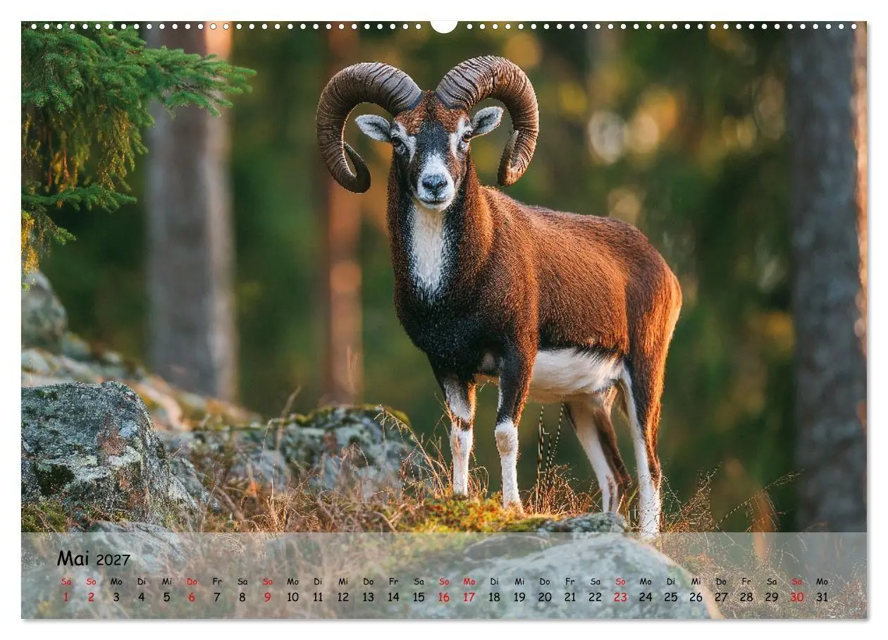 Bild: 9783516847635 | Jagd und Natur - Kalender für Jäger mit Wildtieren Deutschlands im...