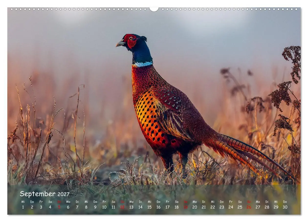 Bild: 9783516847635 | Jagd und Natur - Kalender für Jäger mit Wildtieren Deutschlands im...