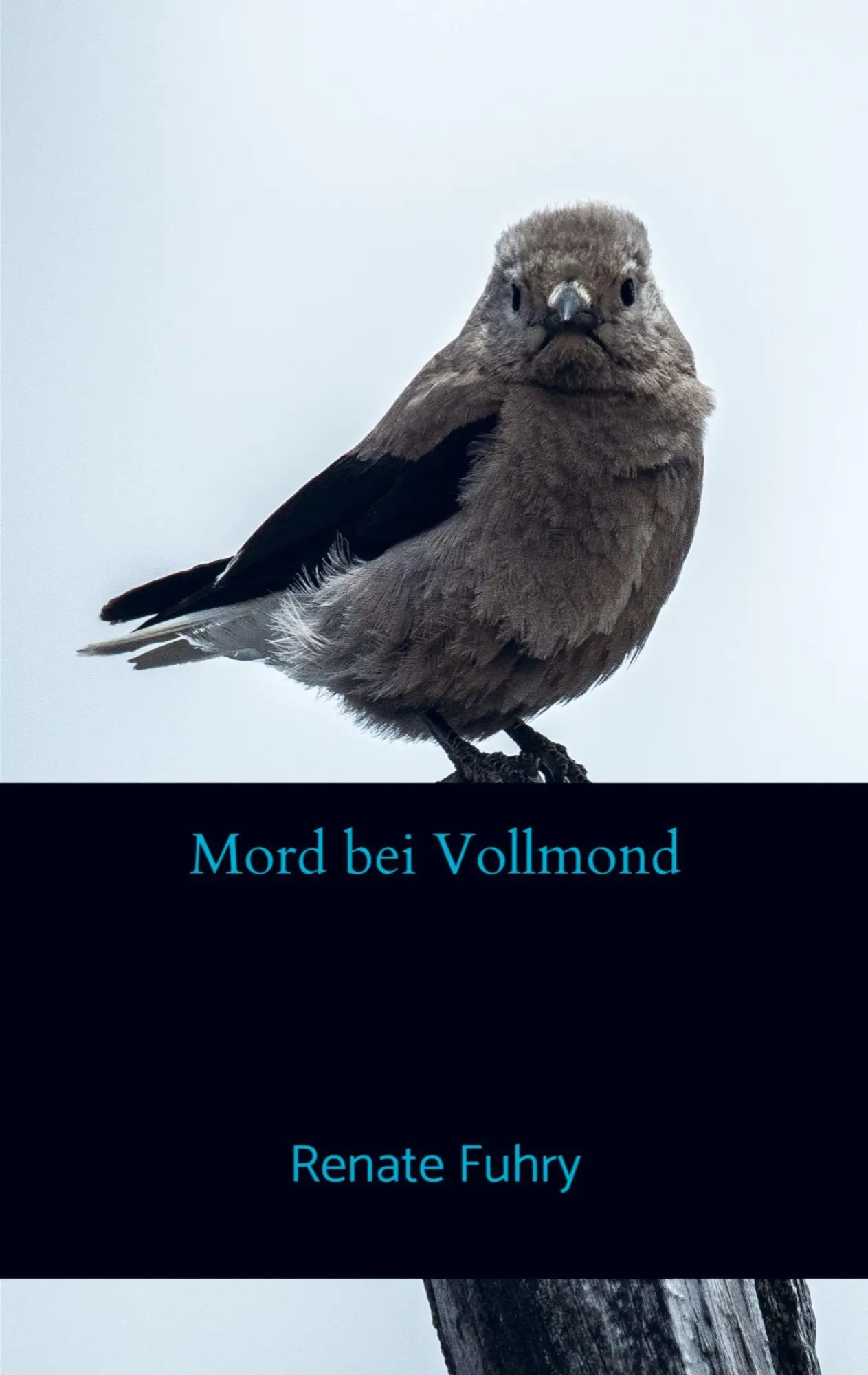 Cover: 9789403837635 | Mord bei Vollmond | Renate Fuhry | Taschenbuch | 76 S. | Deutsch