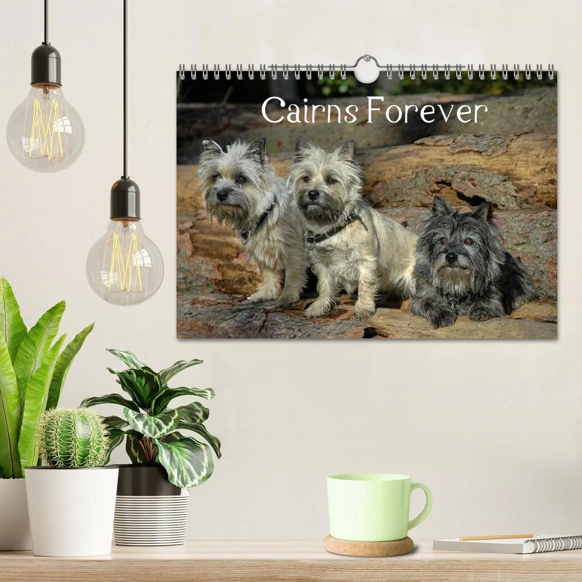 Bild: 9783457987735 | Cairns Forever (Wandkalender 2026 DIN A4 quer), CALVENDO...