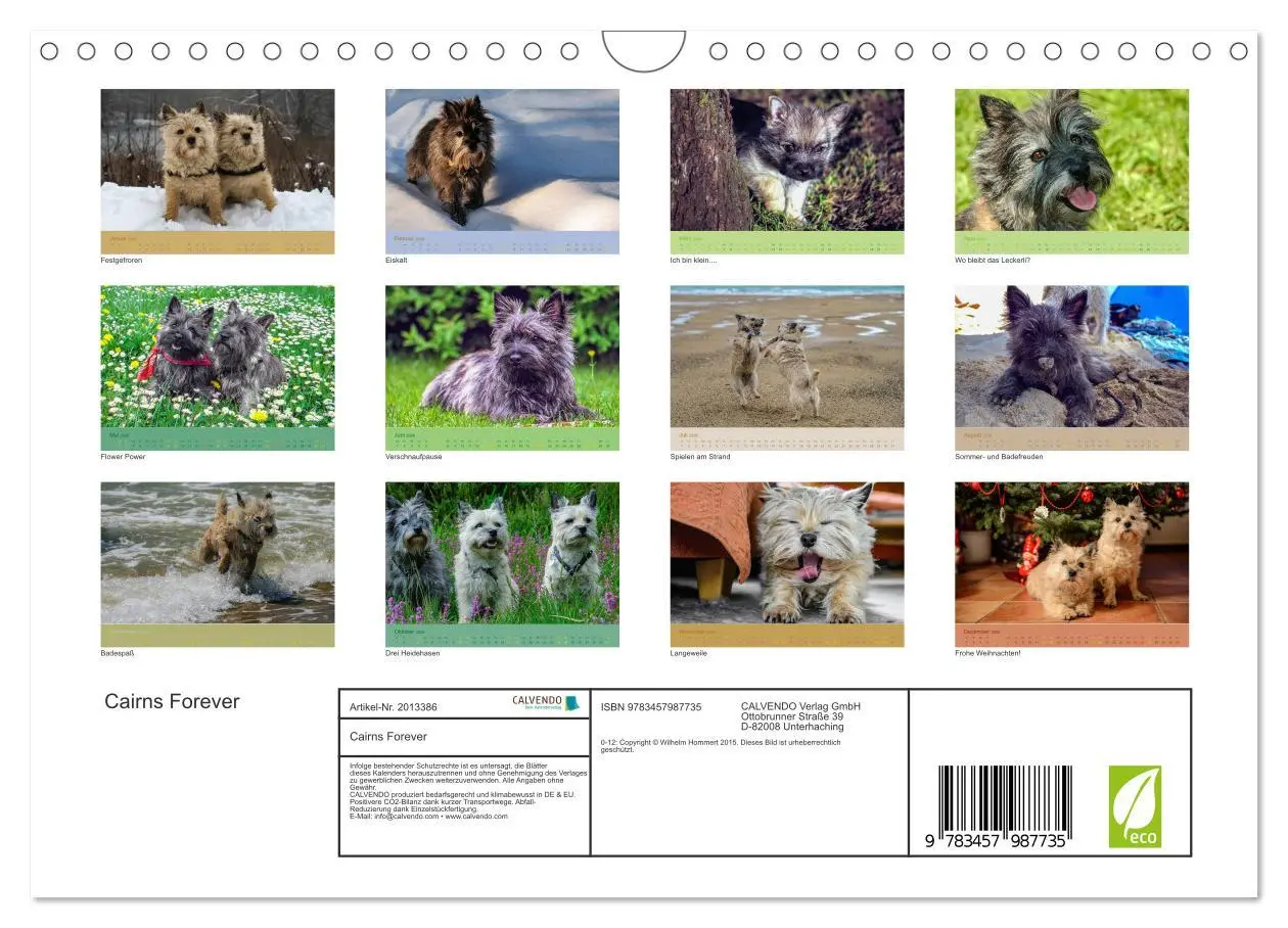 Bild: 9783457987735 | Cairns Forever (Wandkalender 2026 DIN A4 quer), CALVENDO...