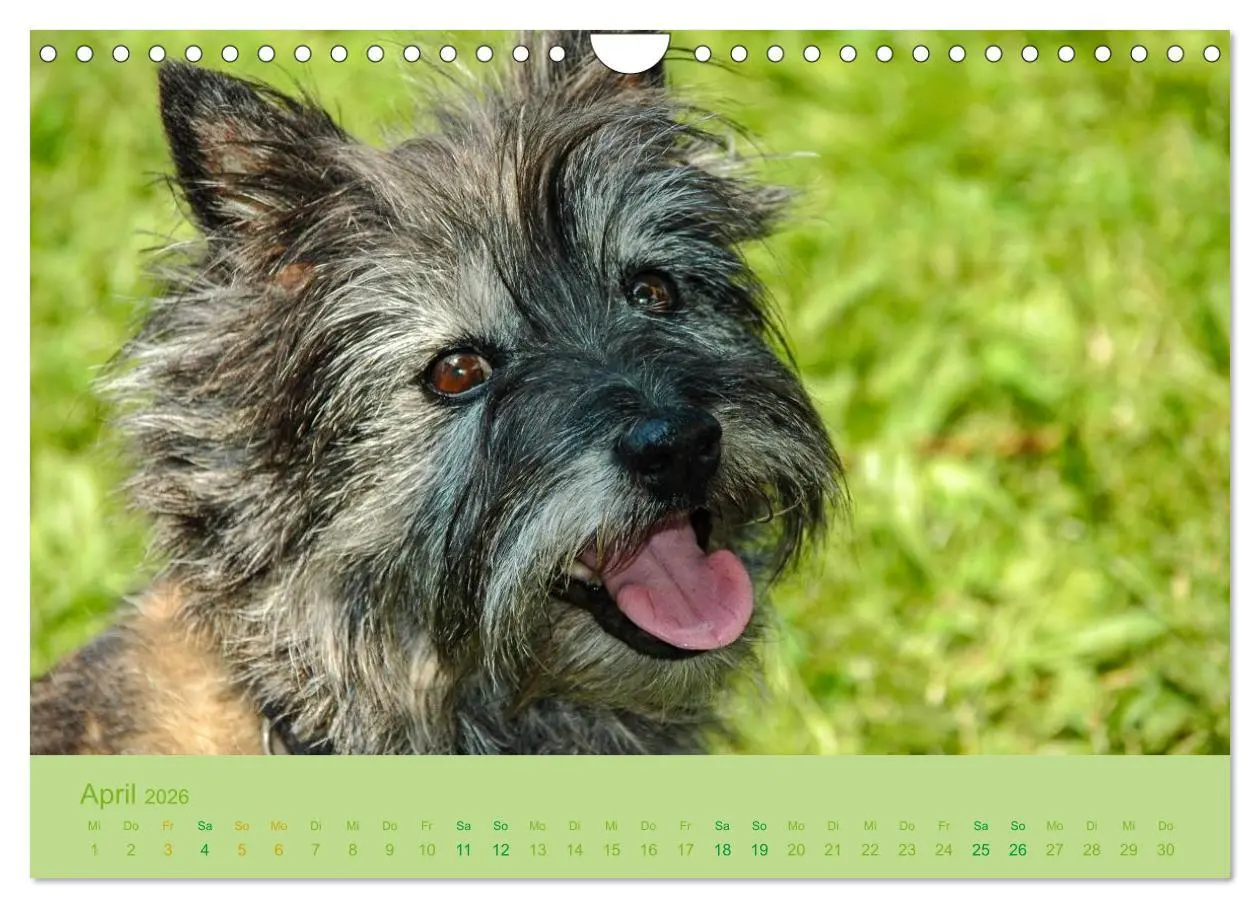 Bild: 9783457987735 | Cairns Forever (Wandkalender 2026 DIN A4 quer), CALVENDO...
