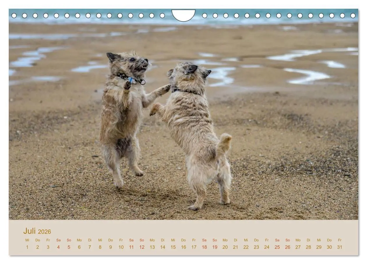 Bild: 9783457987735 | Cairns Forever (Wandkalender 2026 DIN A4 quer), CALVENDO...