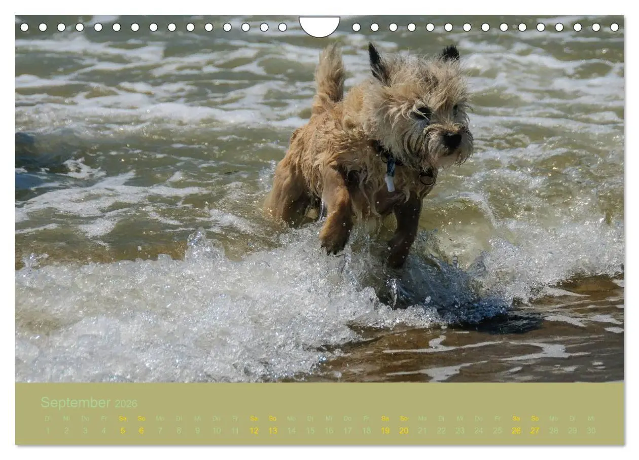 Bild: 9783457987735 | Cairns Forever (Wandkalender 2026 DIN A4 quer), CALVENDO...