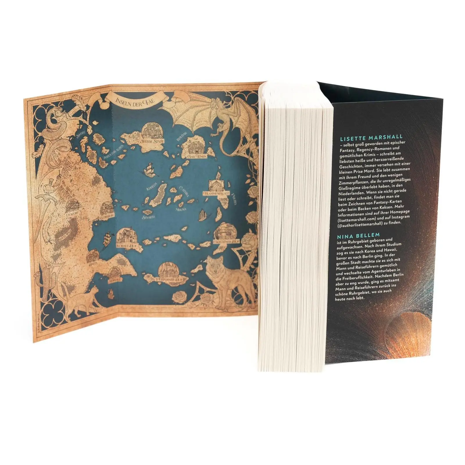 Bild: 9783499017735 | Fae Isles. Der Henker der Königin | Lisette Marshall | Taschenbuch
