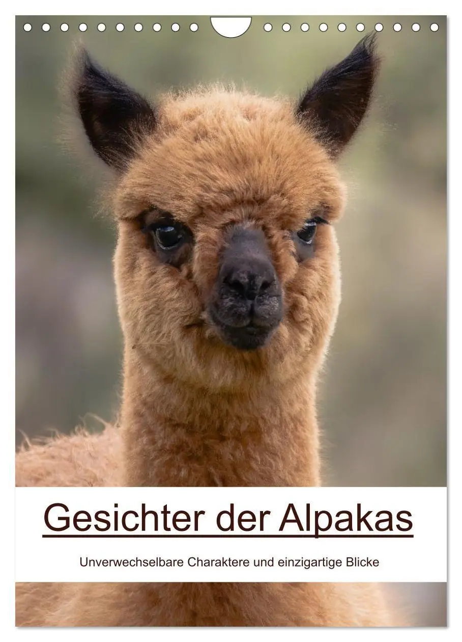 Cover: 9783516697735 | Gesichter der Alpakas - Unverwechselbare Charaktere und...