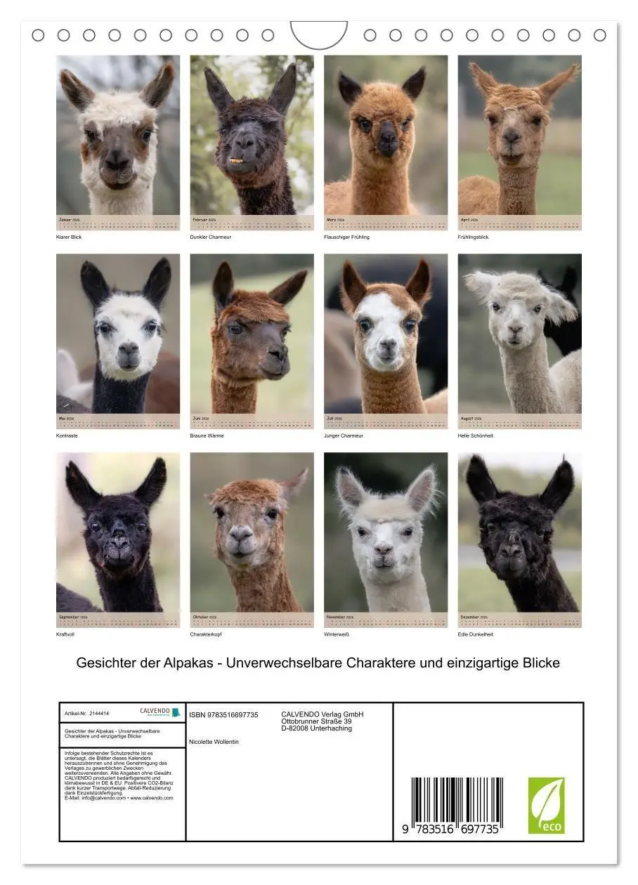 Bild: 9783516697735 | Gesichter der Alpakas - Unverwechselbare Charaktere und...