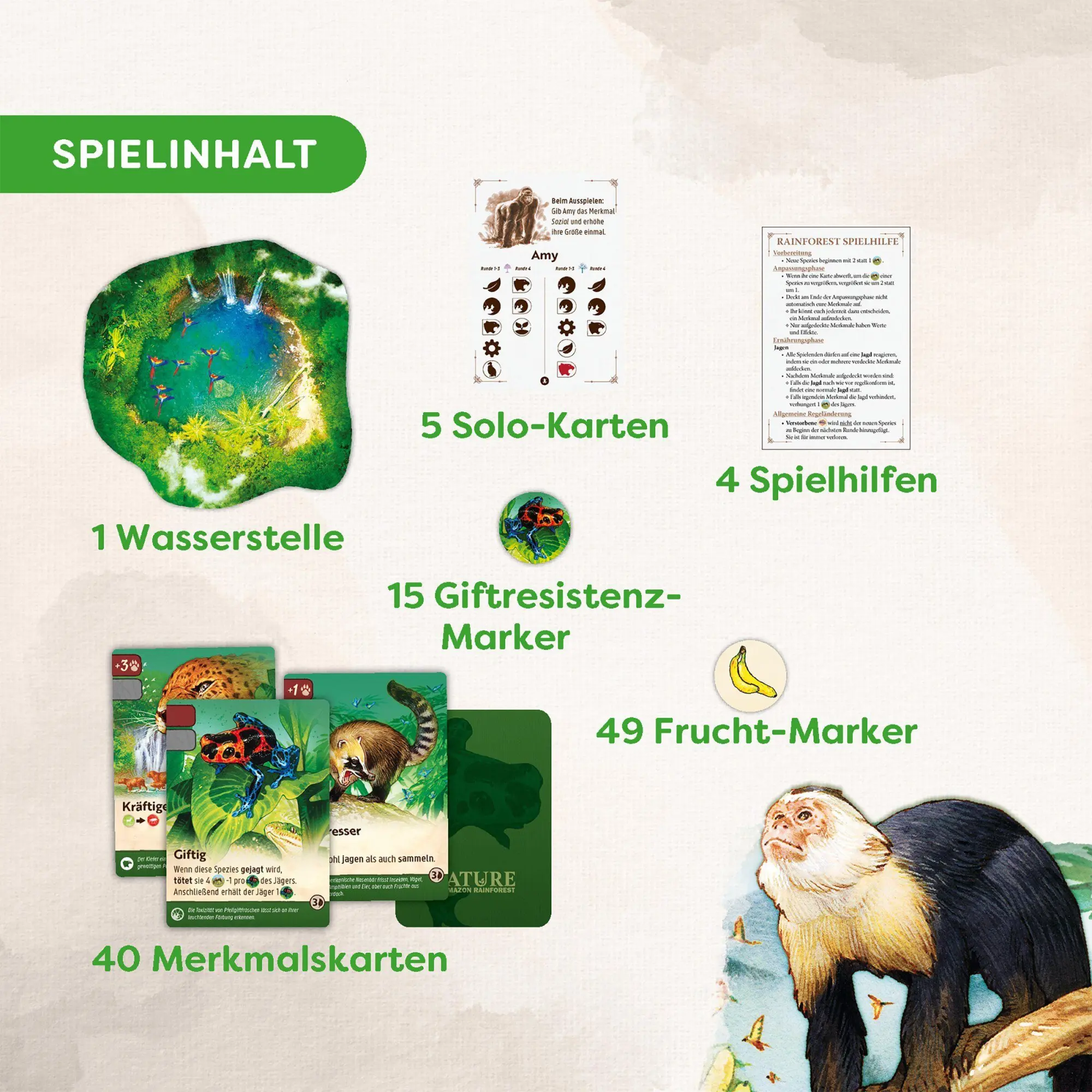 Bild: 4010168297835 | Nature Amazon Rainforest | Patrick Tonn | Spiel | 2014710001 | Deutsch