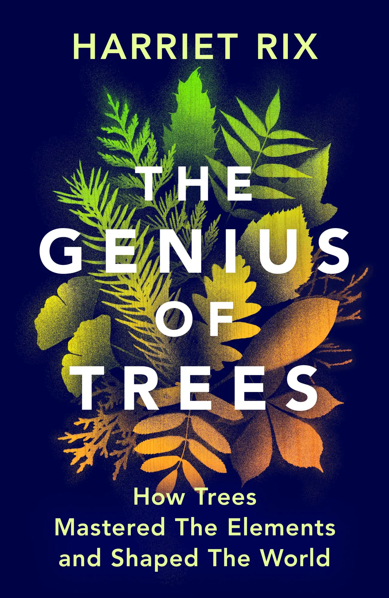 Cover: 9781847927835 | The Genius of Trees | Harriet Rix | Taschenbuch | Englisch | 2025