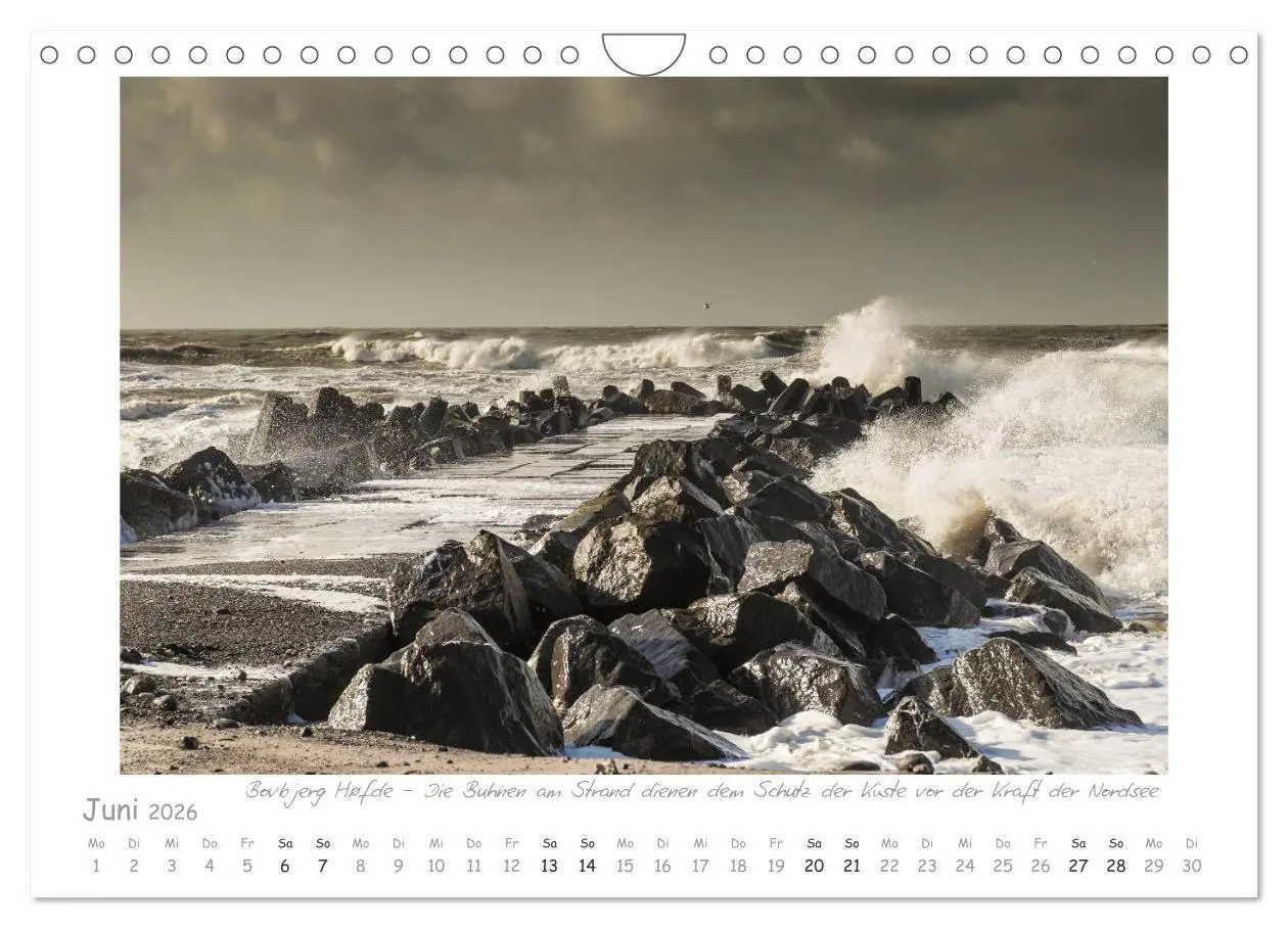 Bild: 9783457807835 | Sehnsucht Westjütland (Wandkalender 2026 DIN A4 quer), CALVENDO...