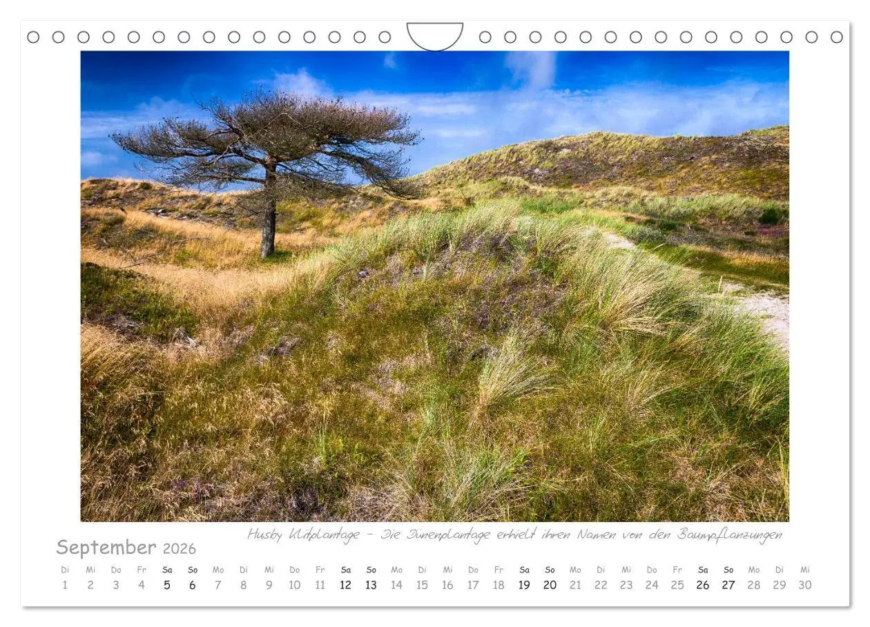 Bild: 9783457807835 | Sehnsucht Westjütland (Wandkalender 2026 DIN A4 quer), CALVENDO...