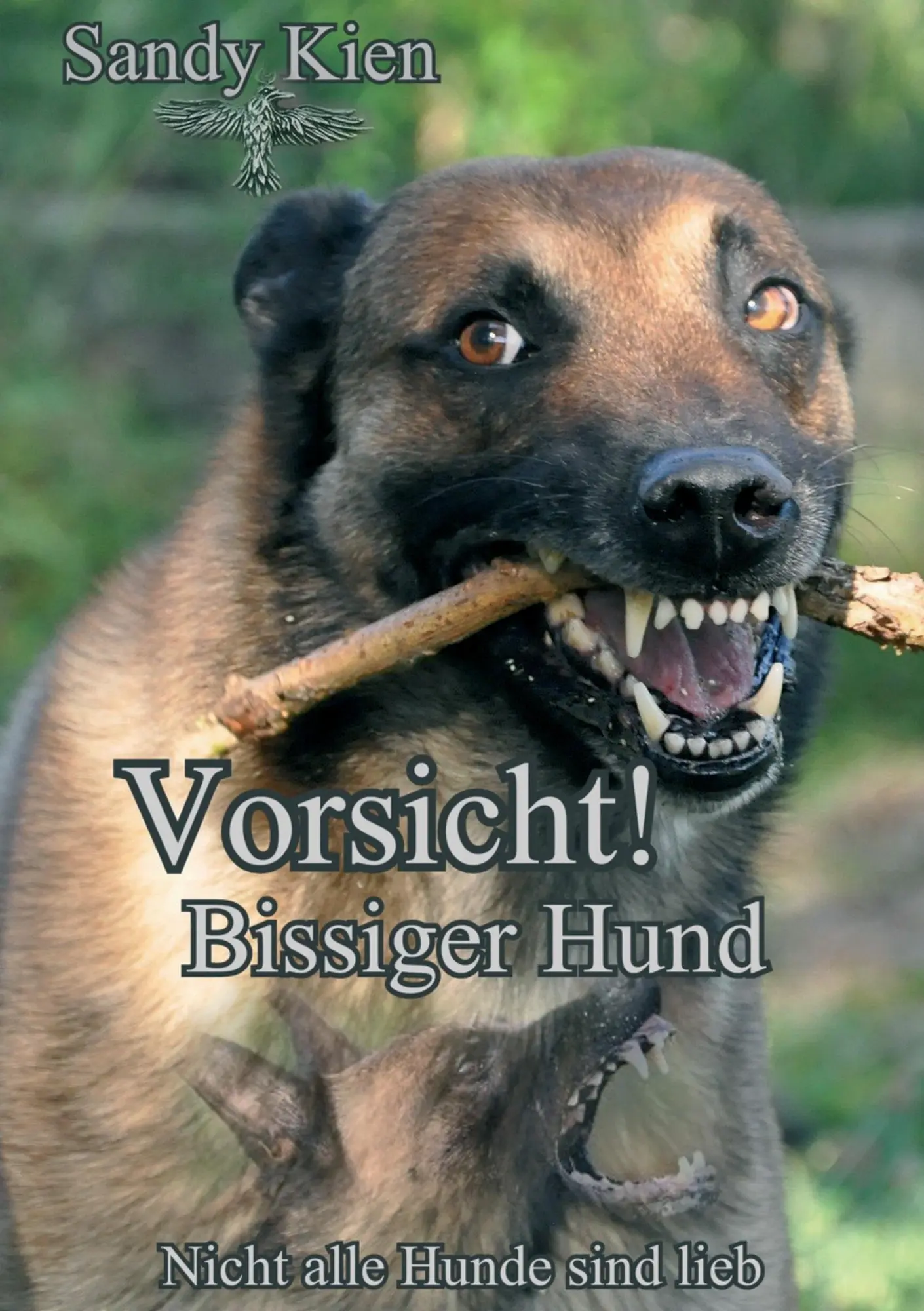 Cover: 9783743917835 | Vorsicht, bissiger Hund! | Sandy Kien | Taschenbuch | Paperback | 2017
