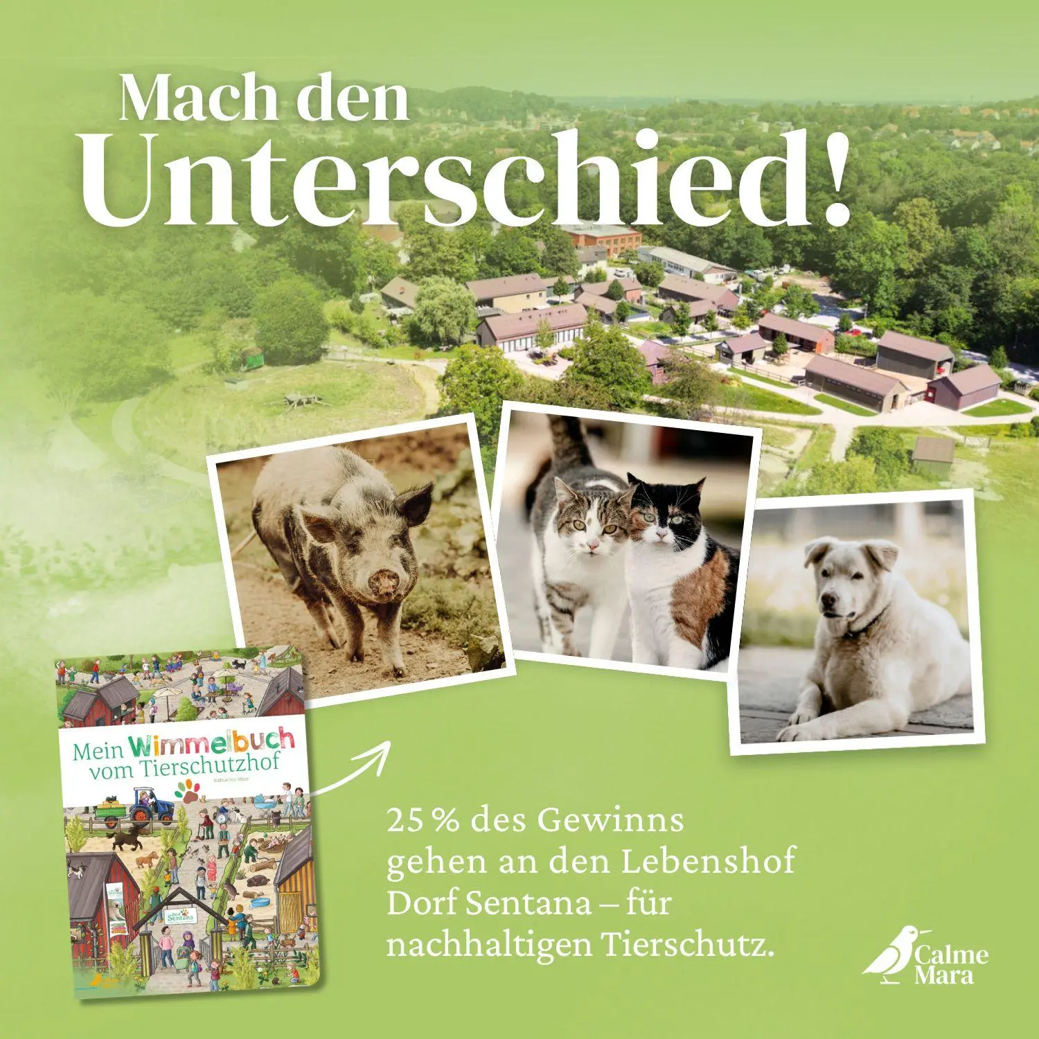 Bild: 9783948877835 | Mein Wimmelbuch vom Tierschutzhof | Katharina Staar | Buch | 16 S.