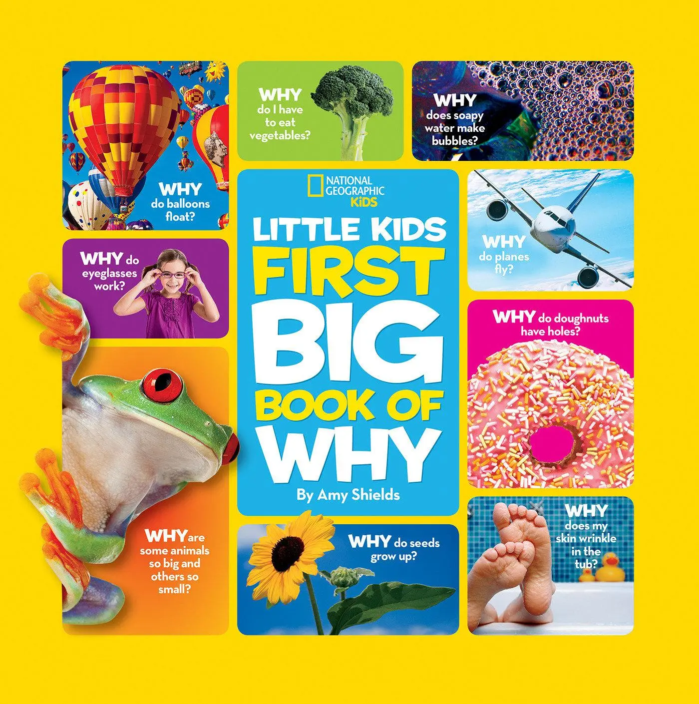 Cover: 9781426307935 | National Geographic Little Kids First Big Book of Why | Amy Shields