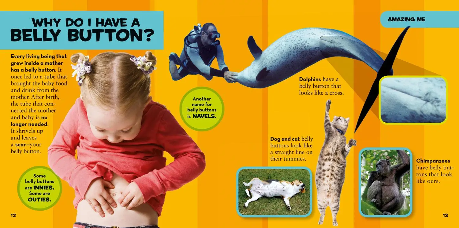 Bild: 9781426307935 | National Geographic Little Kids First Big Book of Why | Amy Shields