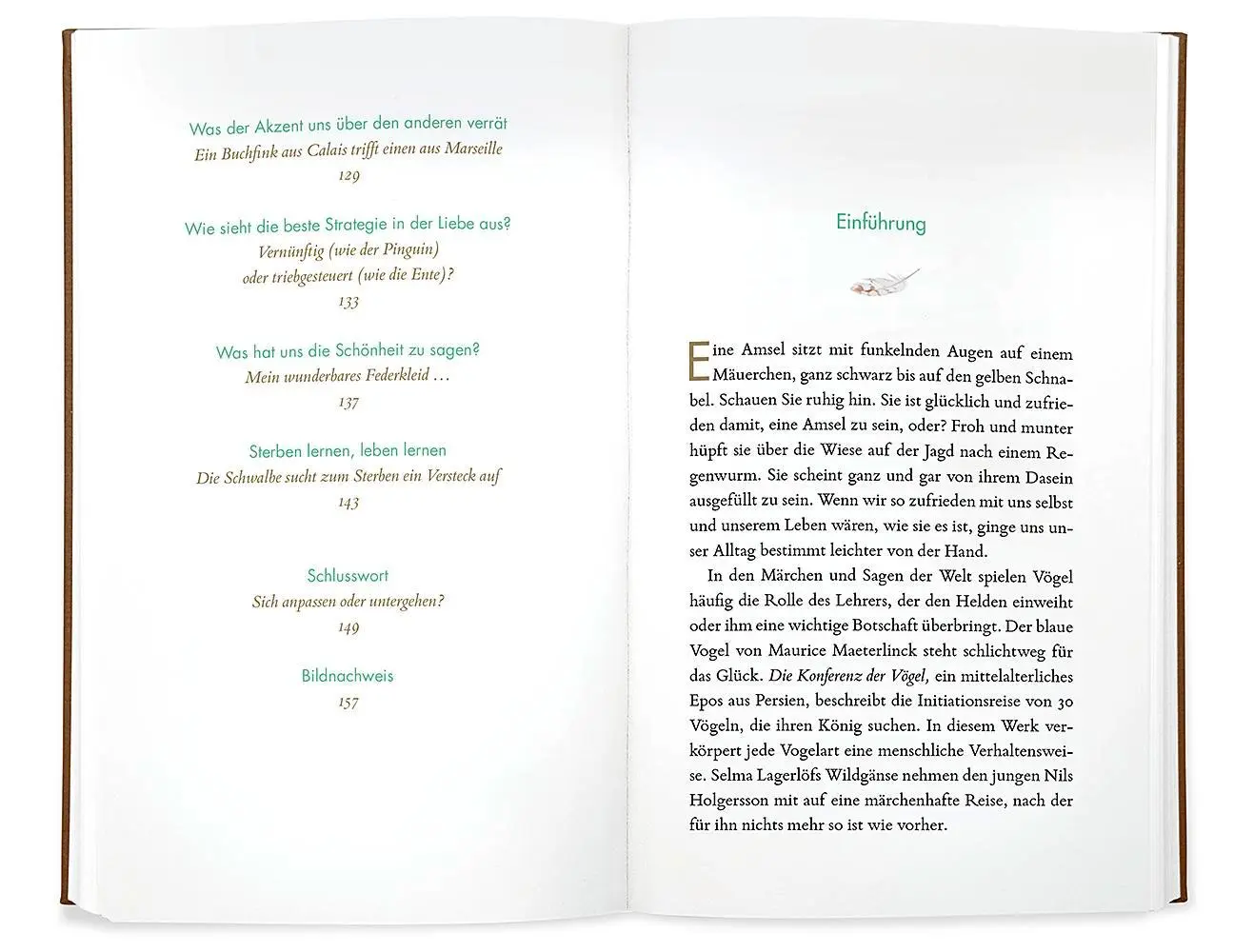 Bild: 9783426277935 | Kleine Philosophie der Vögel | Philippe J. Dubois (u. a.) | Buch