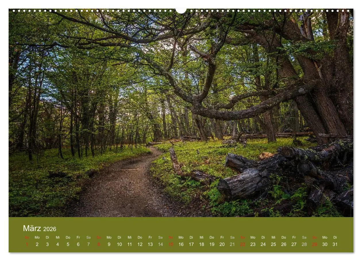 Bild: 9783516057935 | Farbenfrohes Patagonien (Wandkalender 2026 DIN A2 quer), CALVENDO...