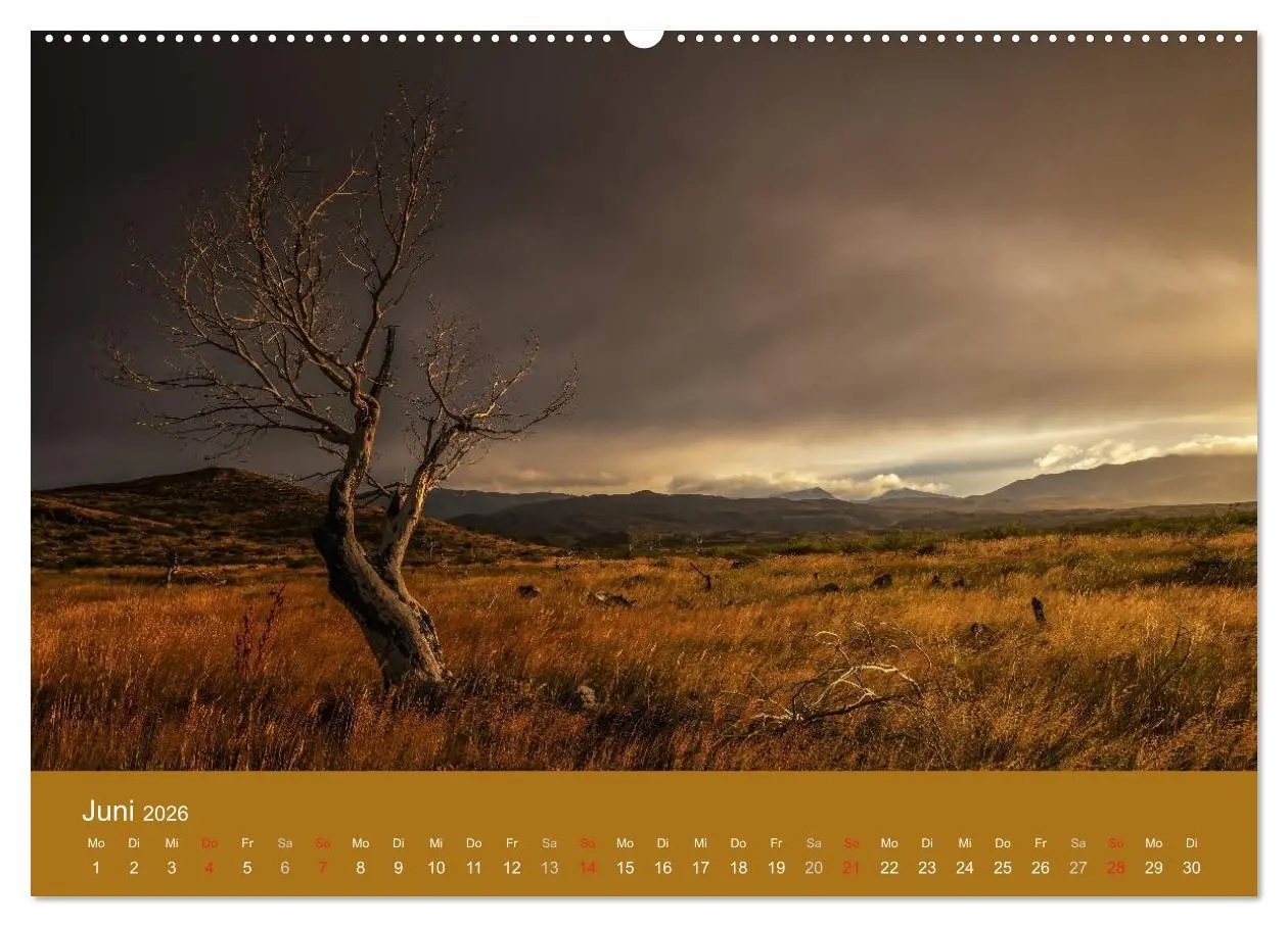Bild: 9783516057935 | Farbenfrohes Patagonien (Wandkalender 2026 DIN A2 quer), CALVENDO...