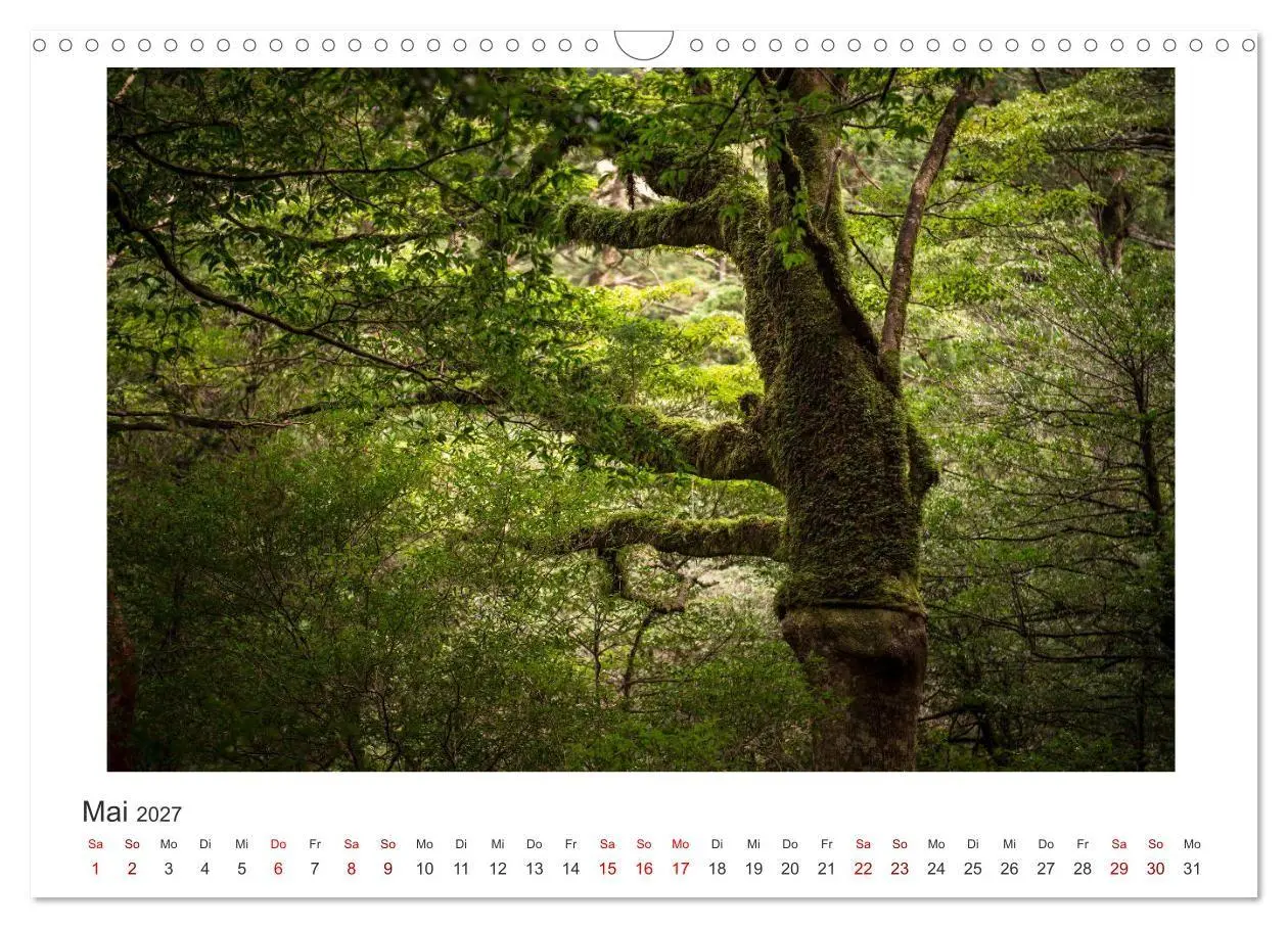 Bild: 9783569767935 | Yakushima - Japans Weltnaturerbe (Wandkalender 2027 DIN A3 quer),...