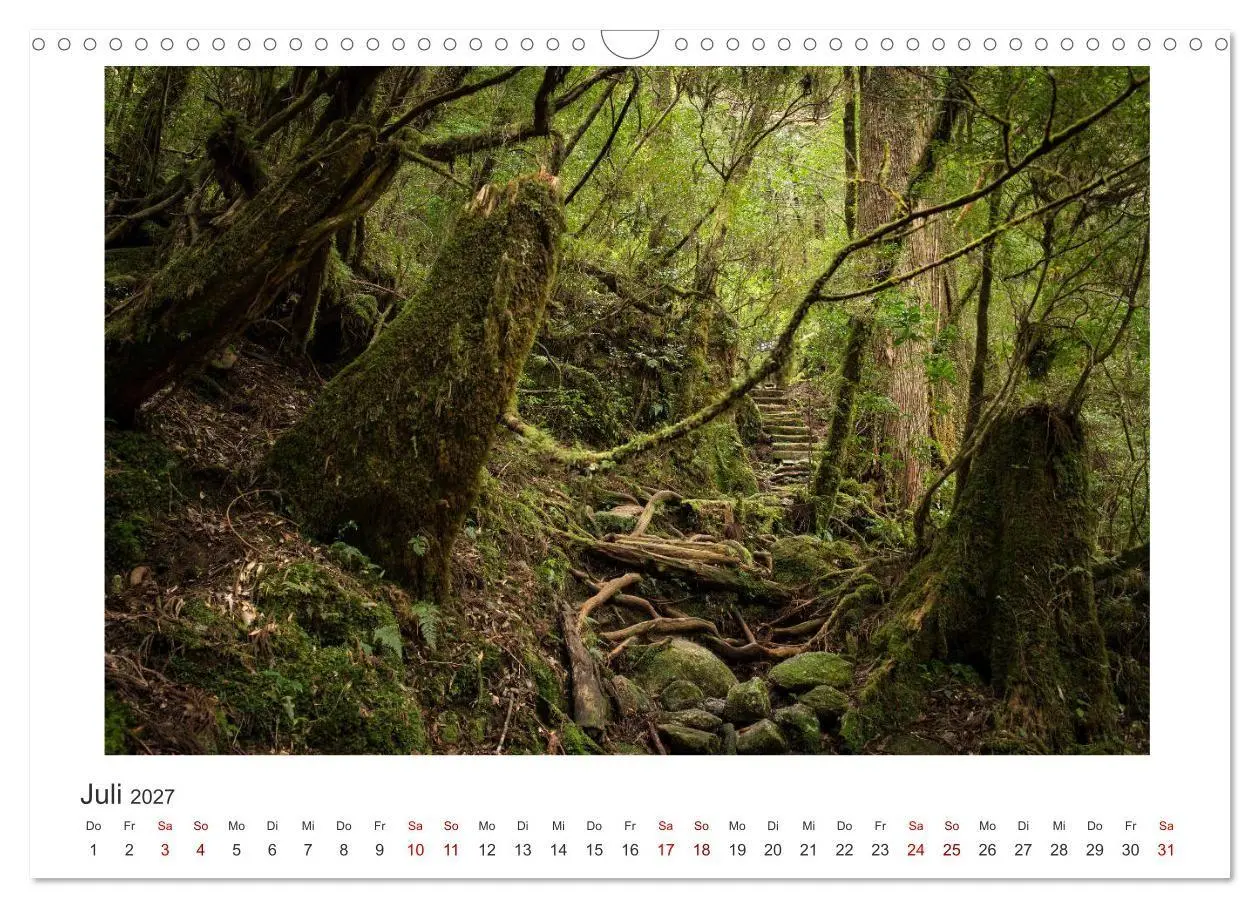 Bild: 9783569767935 | Yakushima - Japans Weltnaturerbe (Wandkalender 2027 DIN A3 quer),...