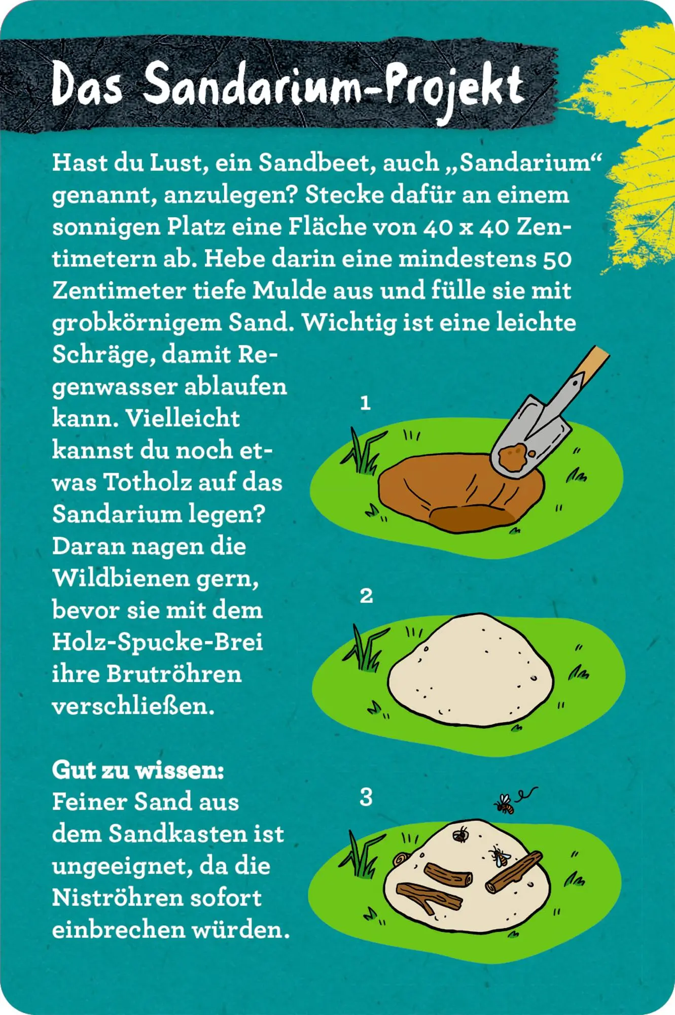 Bild: 9783649647935 | 50 Garten-Projekte | Stefanie Zysk | Taschenbuch | Nature Zoom | 2025