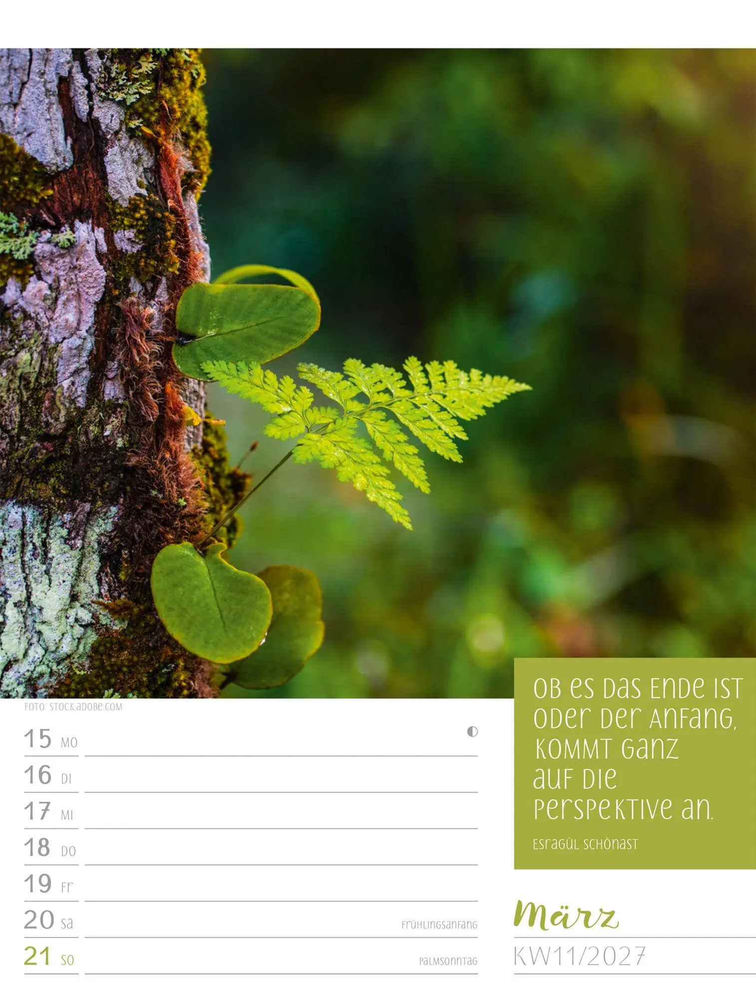 Bild: 9783838427935 | Augenblicke der Achtsamkeit Wochenplaner Kalender 2027 | GmbH | 56 S.