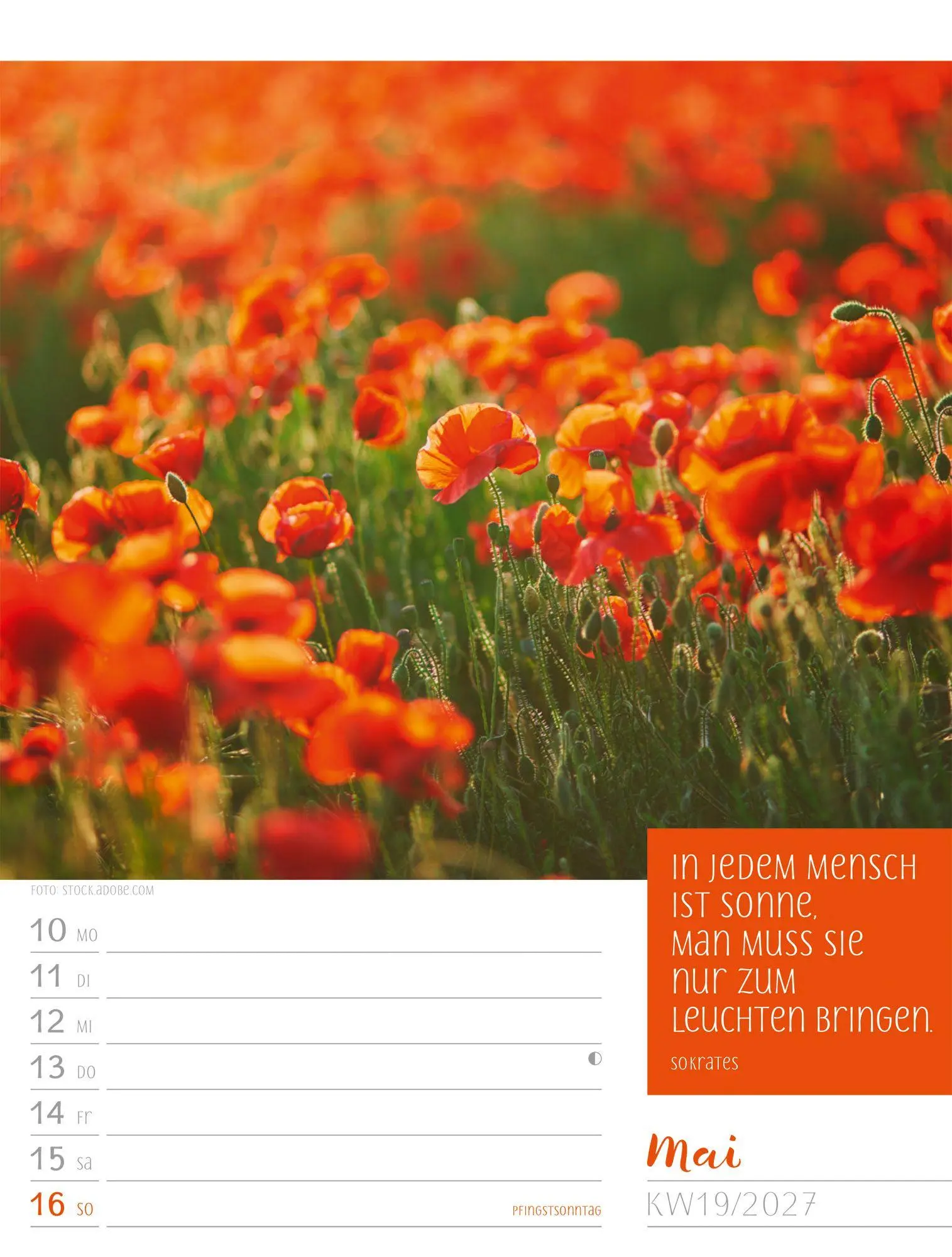 Bild: 9783838427935 | Augenblicke der Achtsamkeit Wochenplaner Kalender 2027 | GmbH | 56 S.