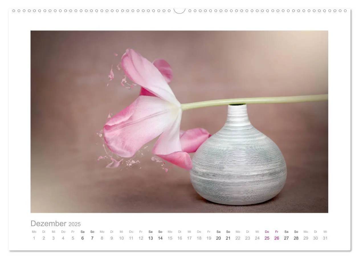 Bild: 9783435458035 | Blumen zart und schön (Wandkalender 2025 DIN A2 quer), CALVENDO...