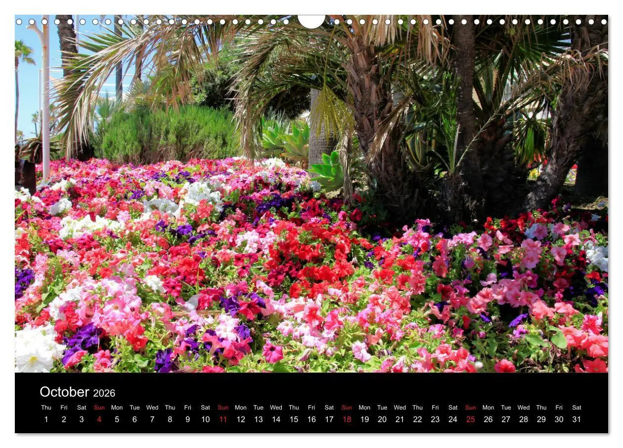 Bild: 9783516568035 | Estepona Costa Del Sol (Wall Calendar 2026 DIN A3 landscape),...