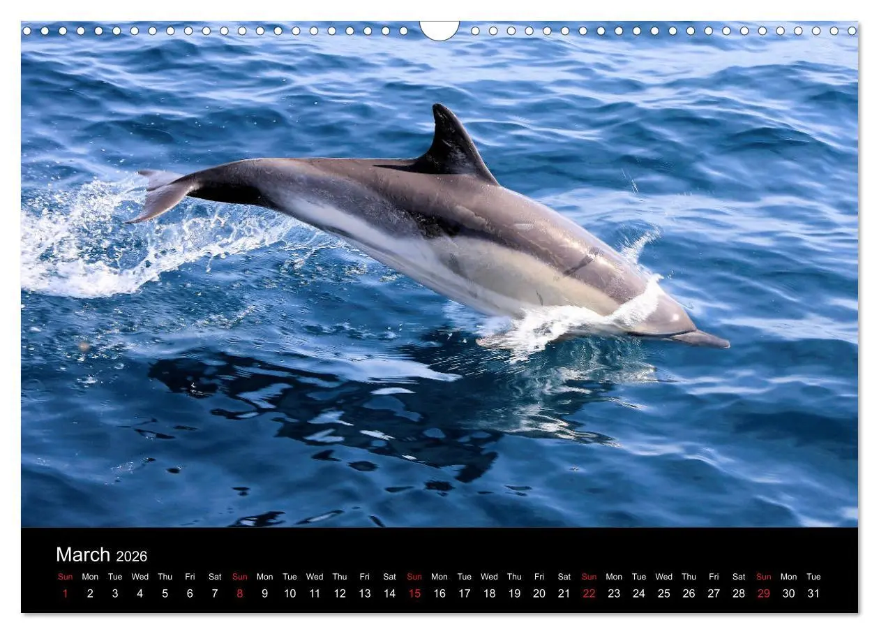 Bild: 9783516568035 | Estepona Costa Del Sol (Wall Calendar 2026 DIN A3 landscape),...