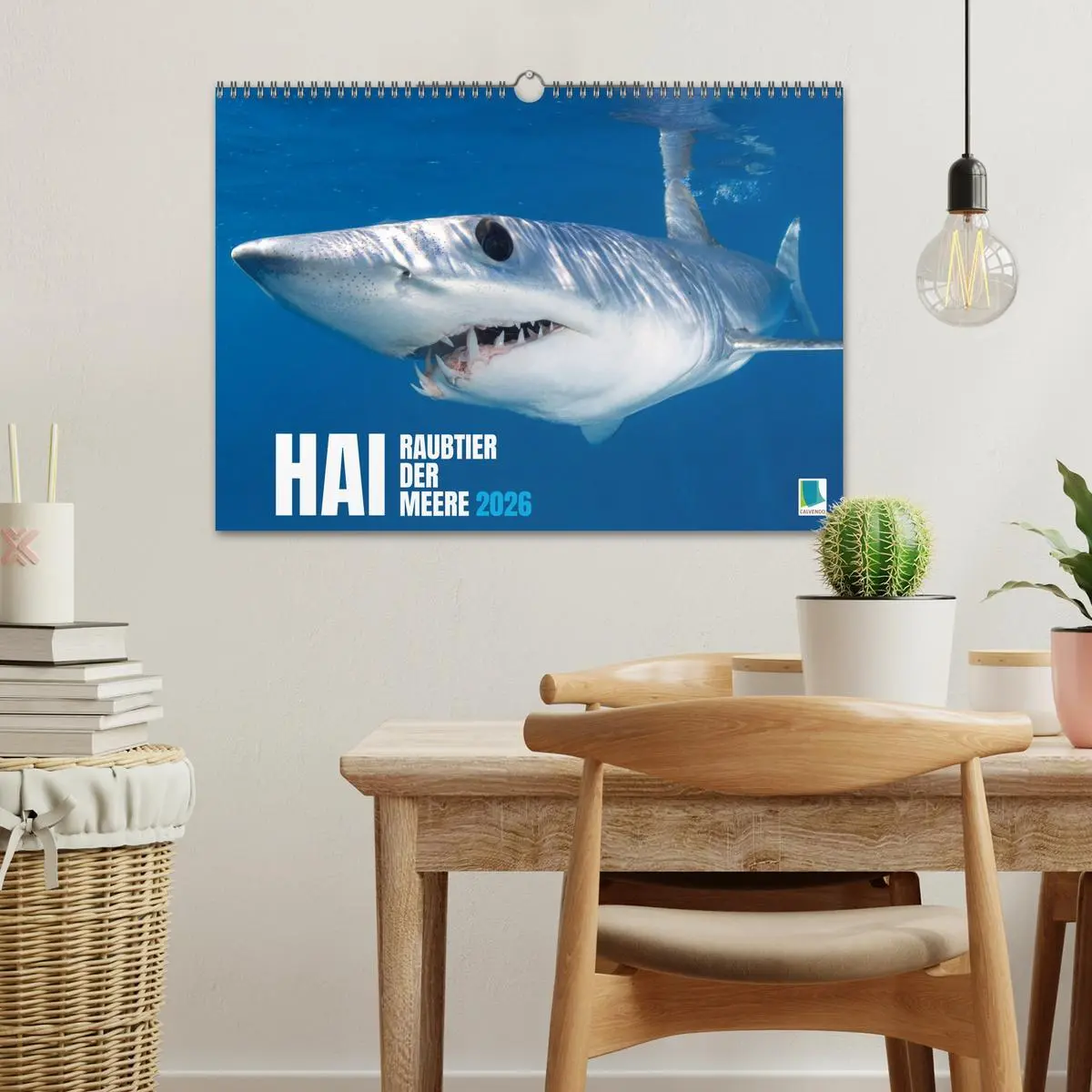 Bild: 9783516638035 | Hai: Raubtier der Meere (Wandkalender 2026 DIN A3 quer), CALVENDO...