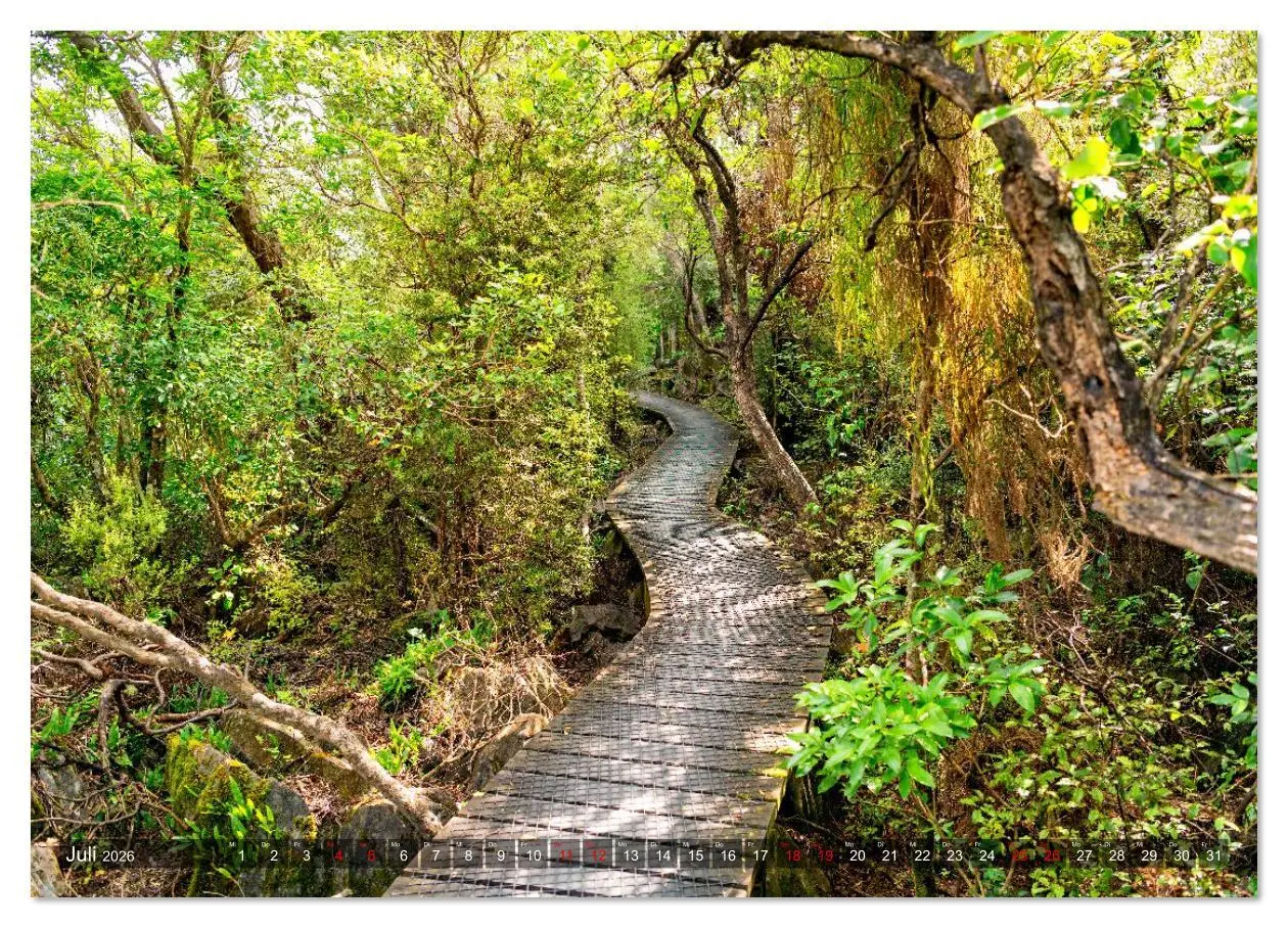 Bild: 9783516628135 | Neuseeland - Entdeckungen am Ende der Welt (Wandkalender 2026 DIN...