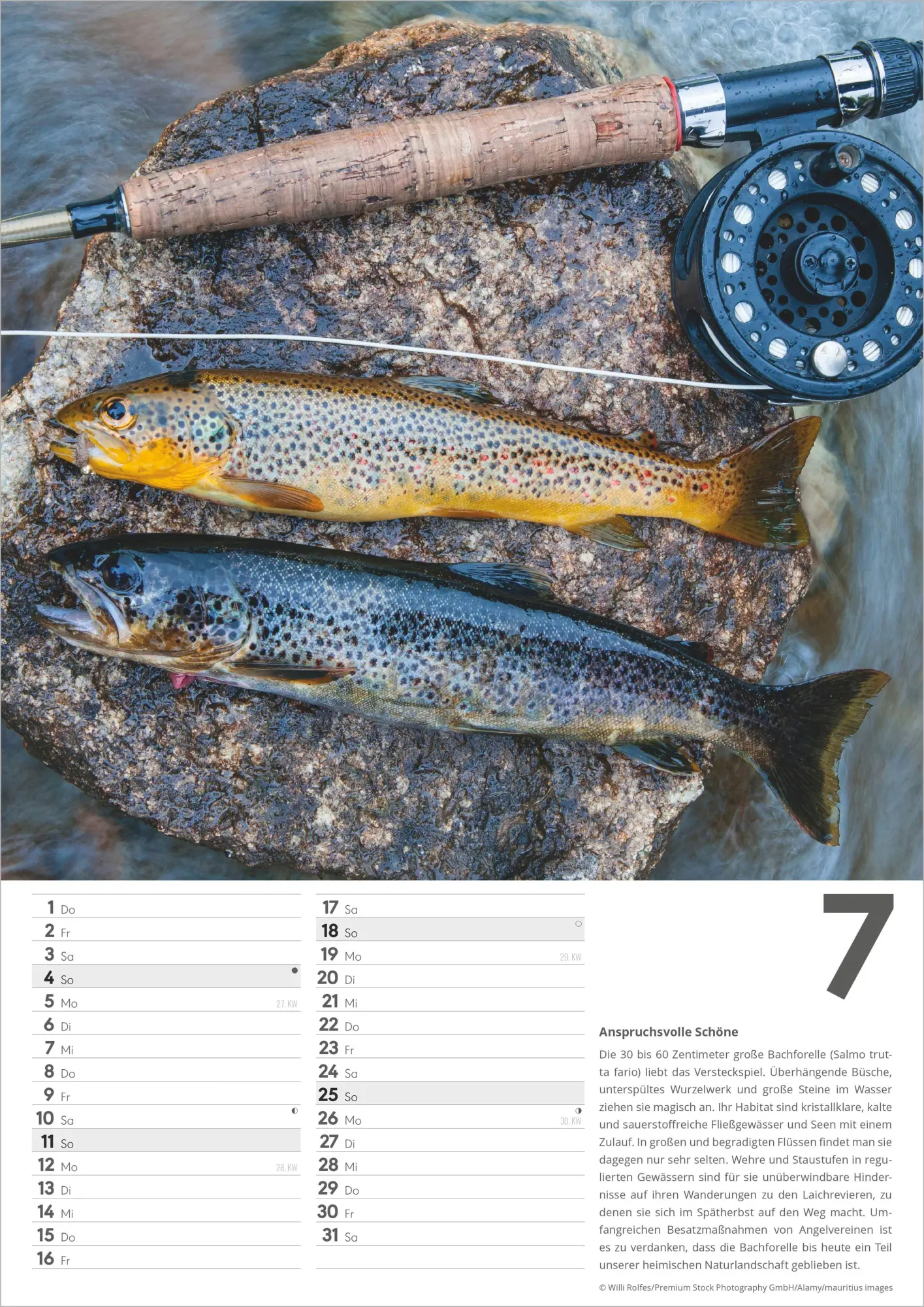Bild: 4069095018235 | Der große Angelkalender 2027 | Neumann Verlage GmbH &amp; Co KG | Kalender
