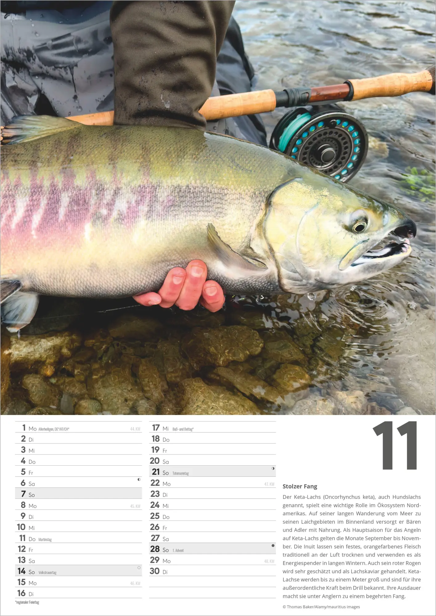 Bild: 4069095018235 | Der große Angelkalender 2027 | Neumann Verlage GmbH &amp; Co KG | Kalender
