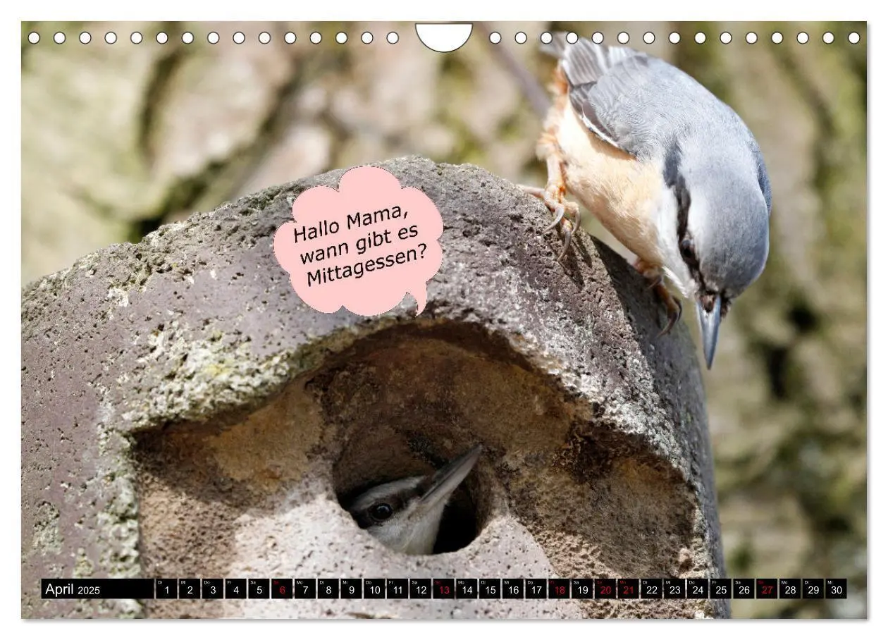 Bild: 9783435058235 | Wenn Tiere sprechen könnten! Der lustige Sprüche Kalender...