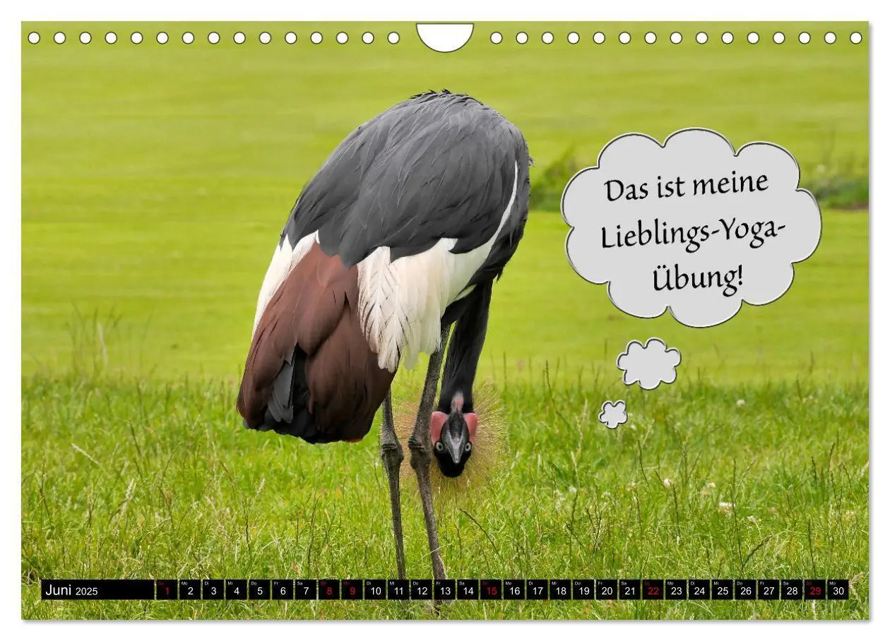 Bild: 9783435058235 | Wenn Tiere sprechen könnten! Der lustige Sprüche Kalender...
