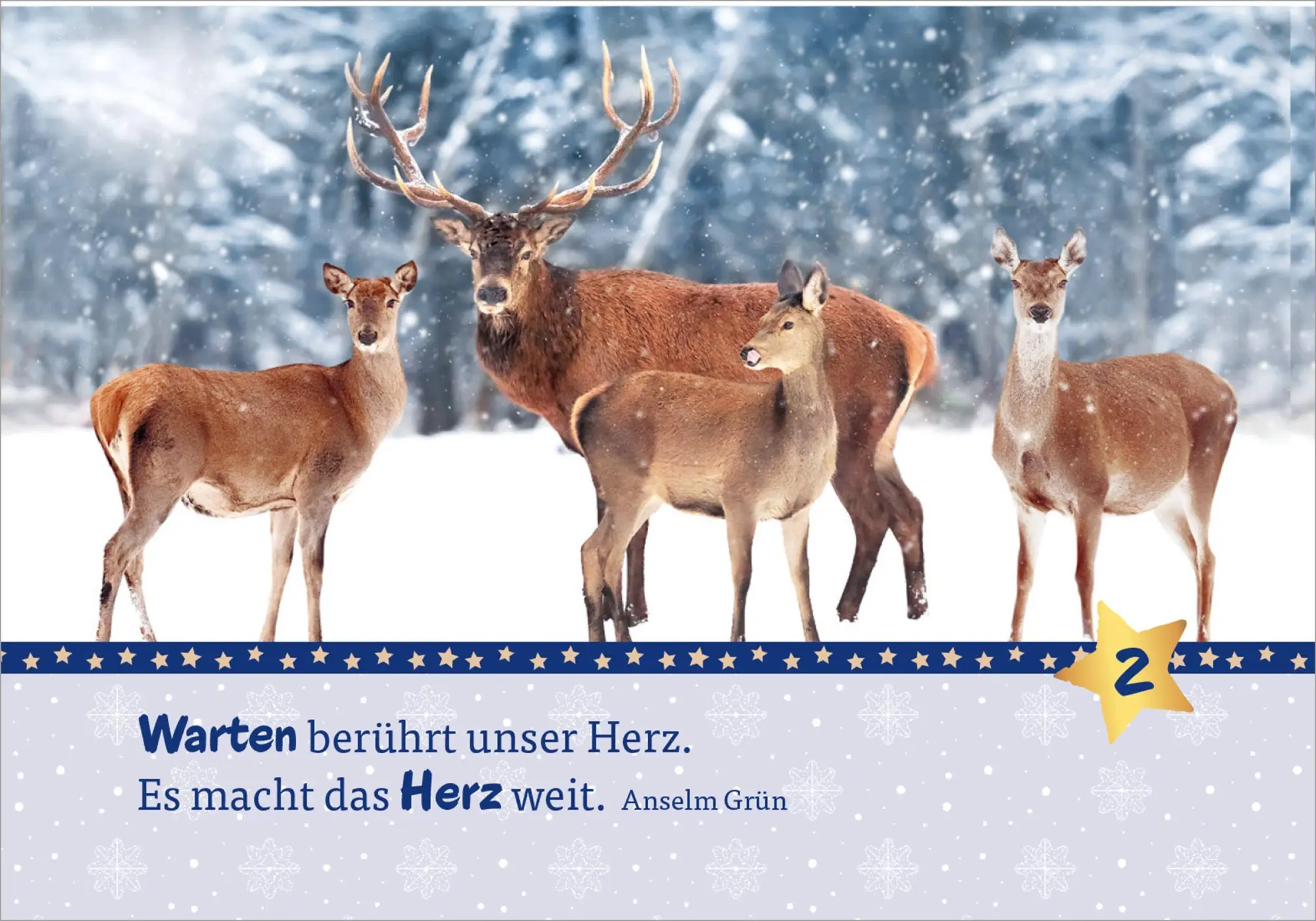 Bild: 9783451038235 | Hosentaschenadventskalender 2026 - mit Fotos | Anselm Grün | Kalender