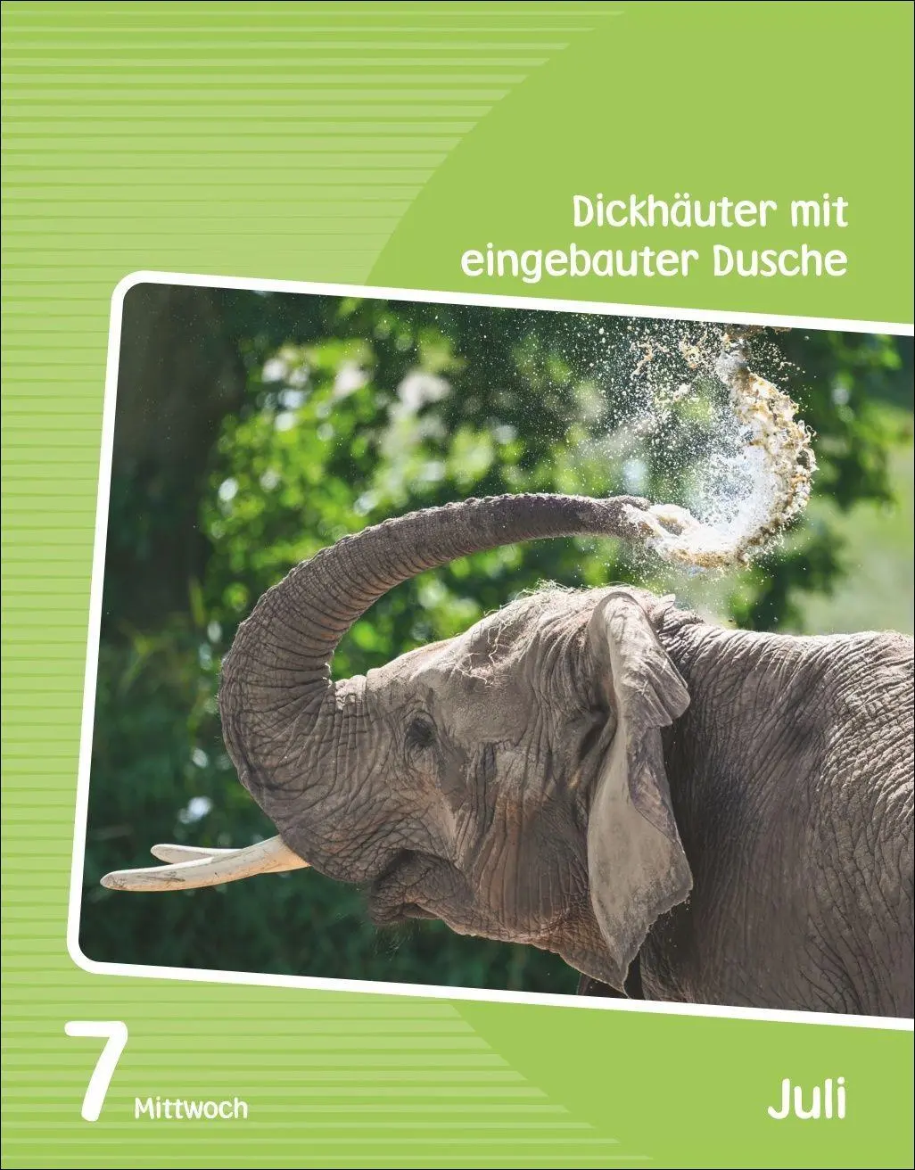 Bild: 9783840038235 | Wissen für Kids Tagesabreißkalender 2027 | Silvia Goics (u. a.) | 2027