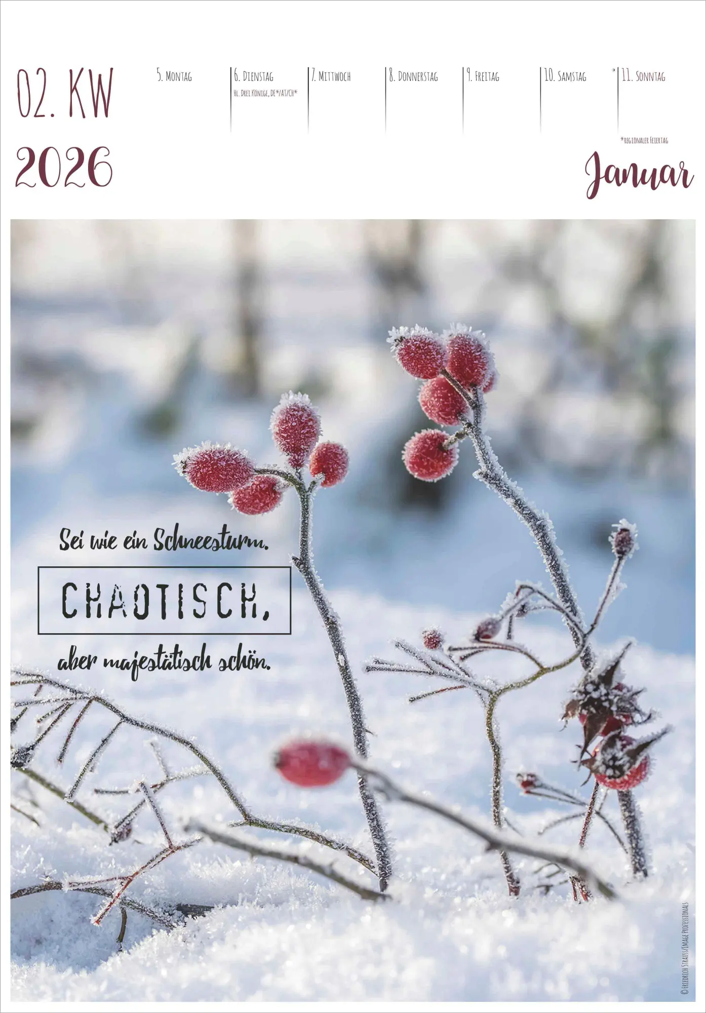Bild: 4069095008335 | Im Einklang mit dem Moment - 53 Lebensweisheiten | Kalender | 55 S.