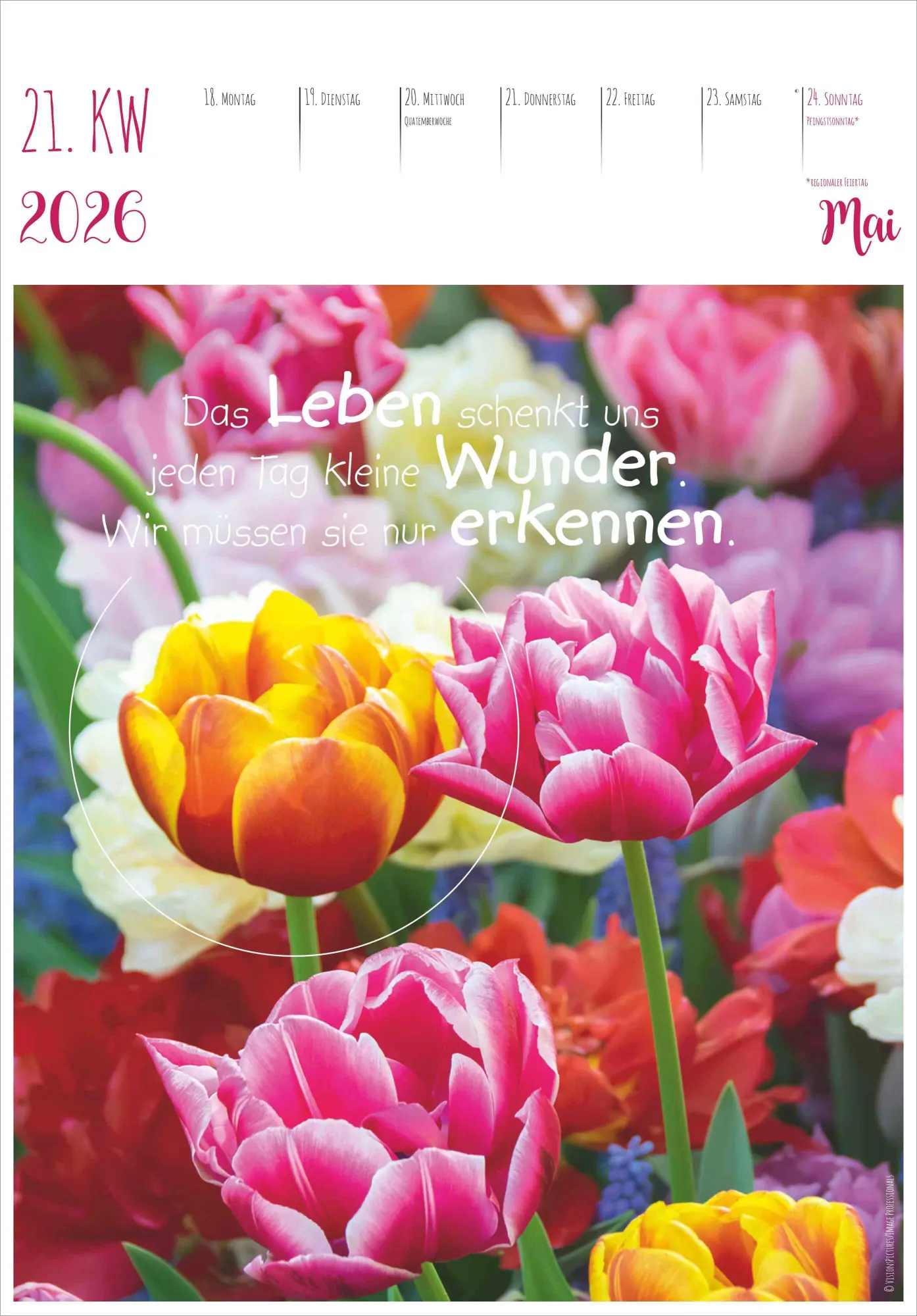Bild: 4069095008335 | Im Einklang mit dem Moment - 53 Lebensweisheiten | Kalender | 55 S.