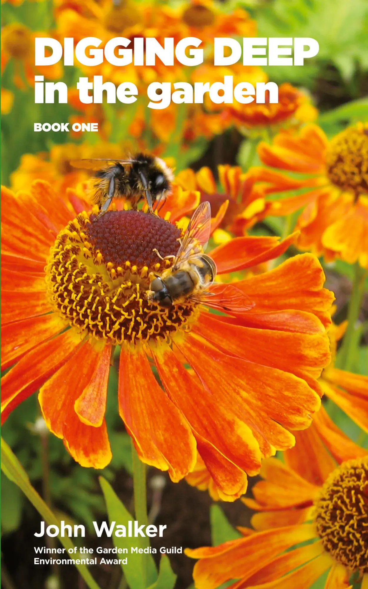 Cover: 9780993268335 | Digging Deep in the Garden | Book One | John Walker | Taschenbuch