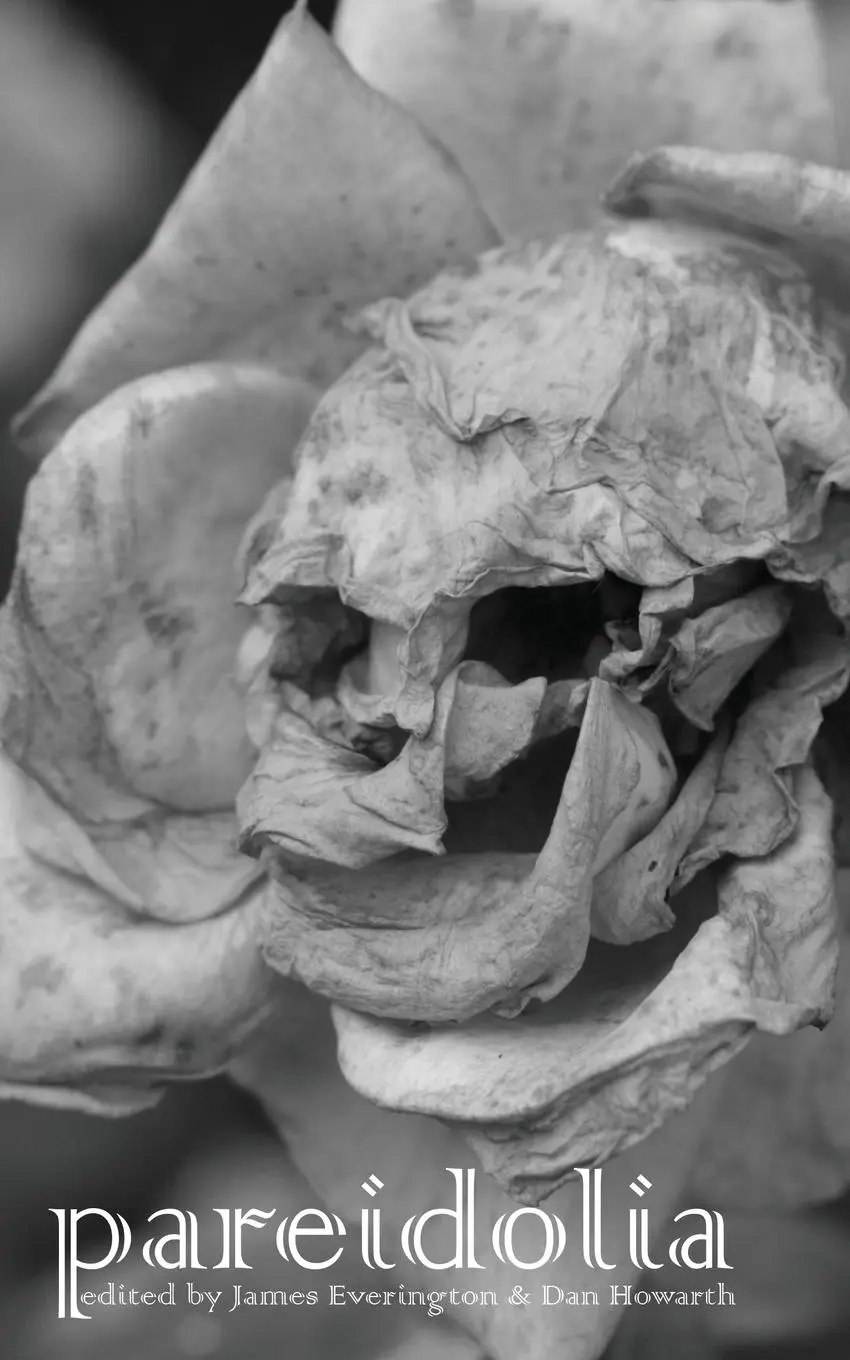Cover: 9781913038335 | Pareidolia | James Everington (u. a.) | Taschenbuch | Englisch | 2019