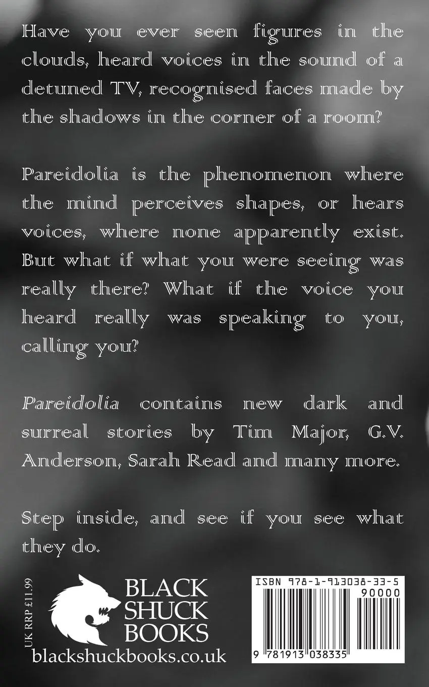 Rückseite: 9781913038335 | Pareidolia | James Everington (u. a.) | Taschenbuch | Englisch | 2019