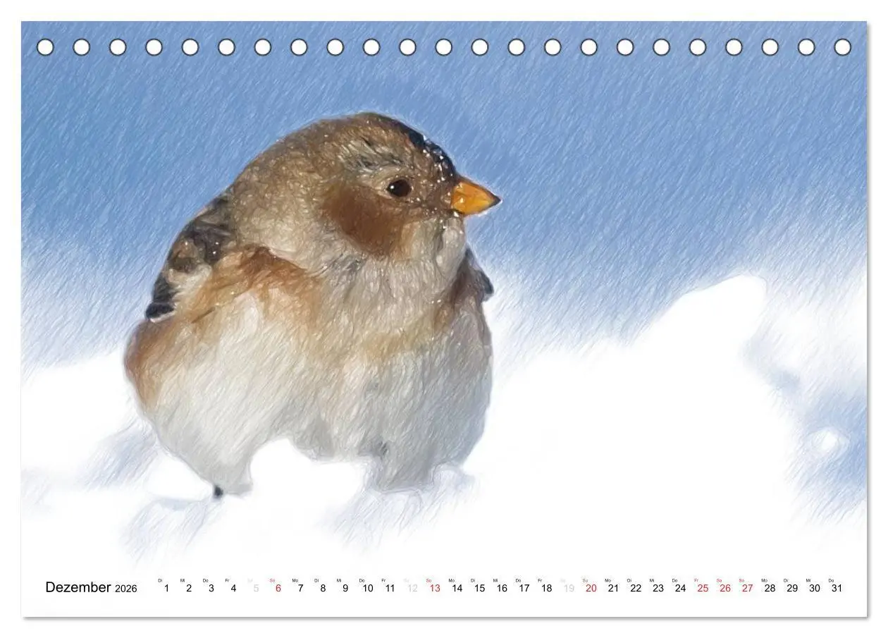 Bild: 9783457998335 | Schottlands Vogelwelt - Ein Porträt in Zeichnungen (Tischkalender...
