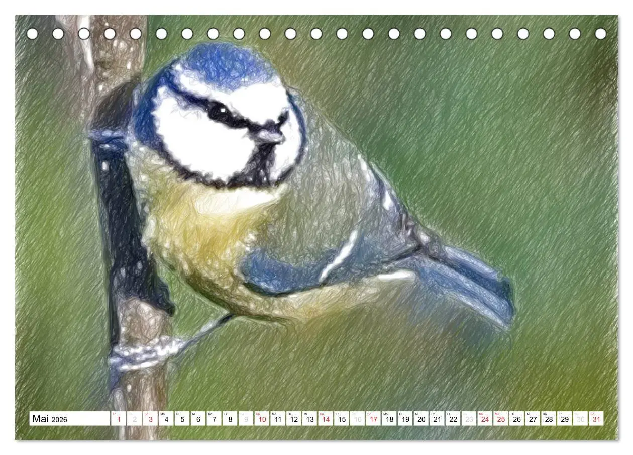Bild: 9783457998335 | Schottlands Vogelwelt - Ein Porträt in Zeichnungen (Tischkalender...