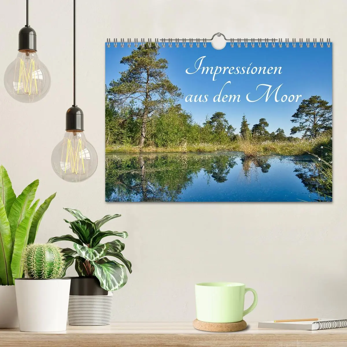 Bild: 9783516608335 | Impressionen aus dem Moor (Wandkalender 2026 DIN A4 quer), CALVENDO...