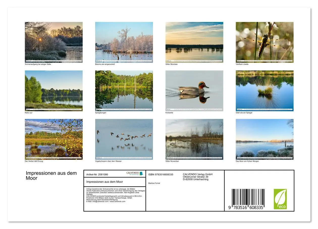 Bild: 9783516608335 | Impressionen aus dem Moor (Wandkalender 2026 DIN A4 quer), CALVENDO...