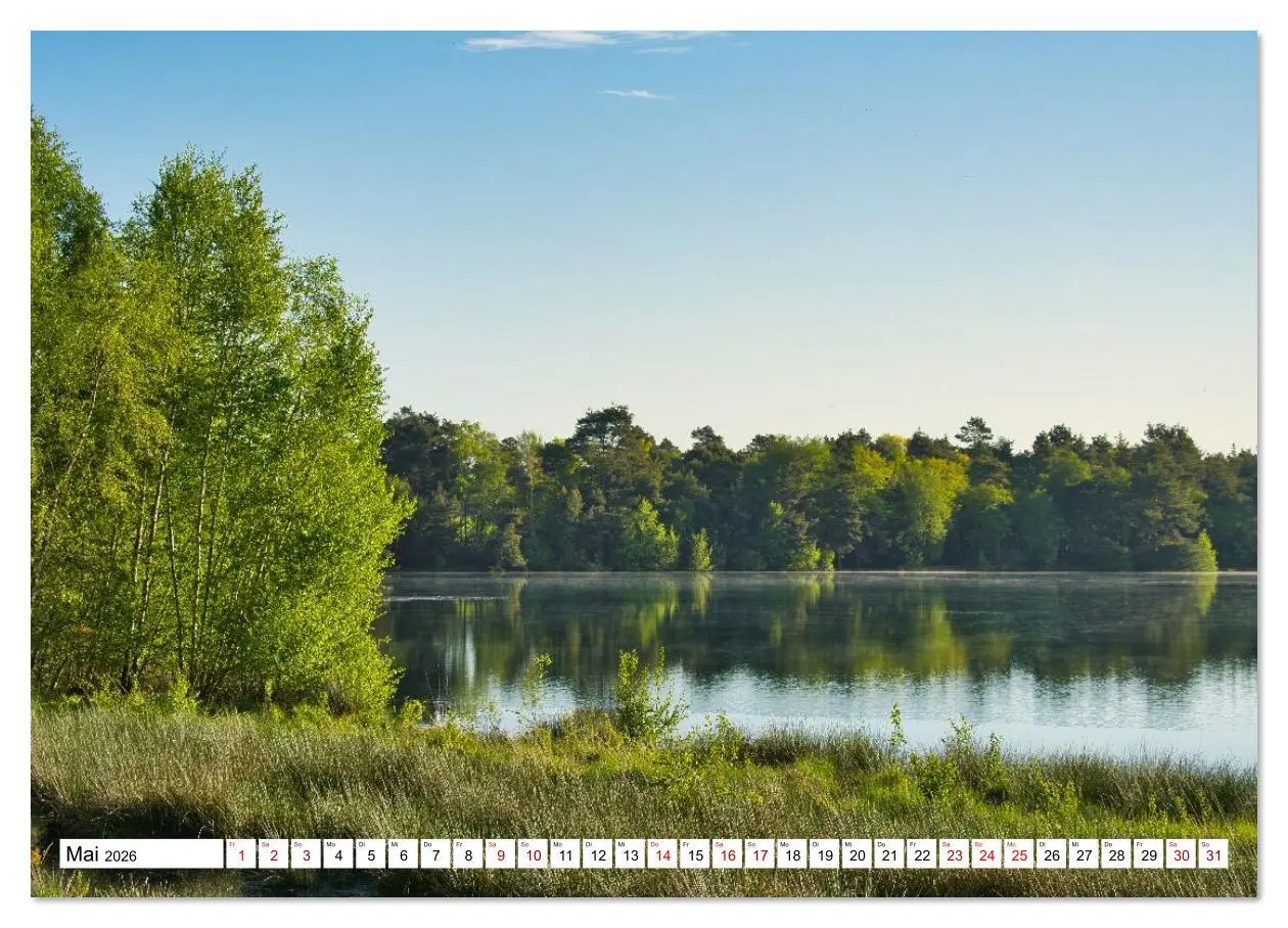 Bild: 9783516608335 | Impressionen aus dem Moor (Wandkalender 2026 DIN A4 quer), CALVENDO...